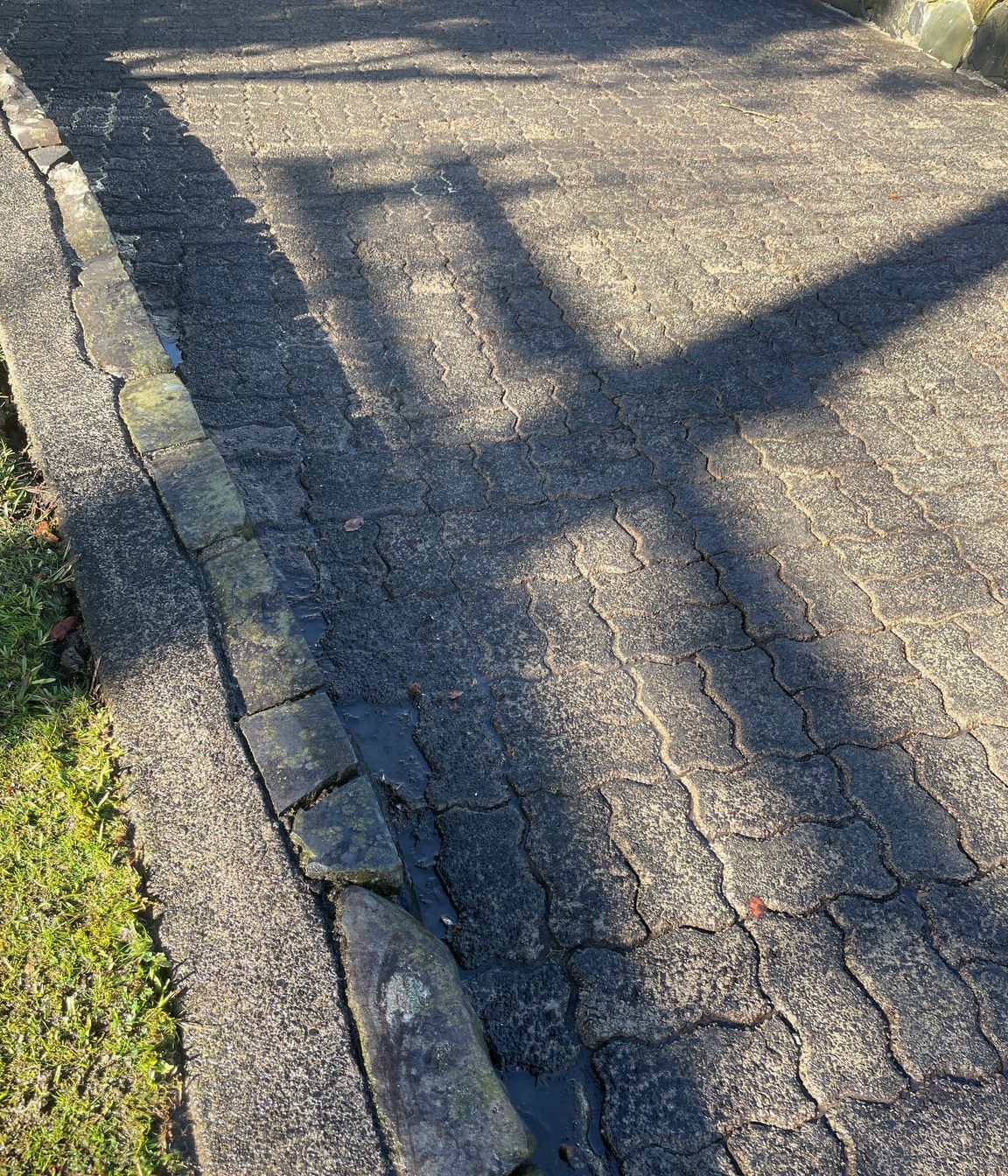 Before and After Photos