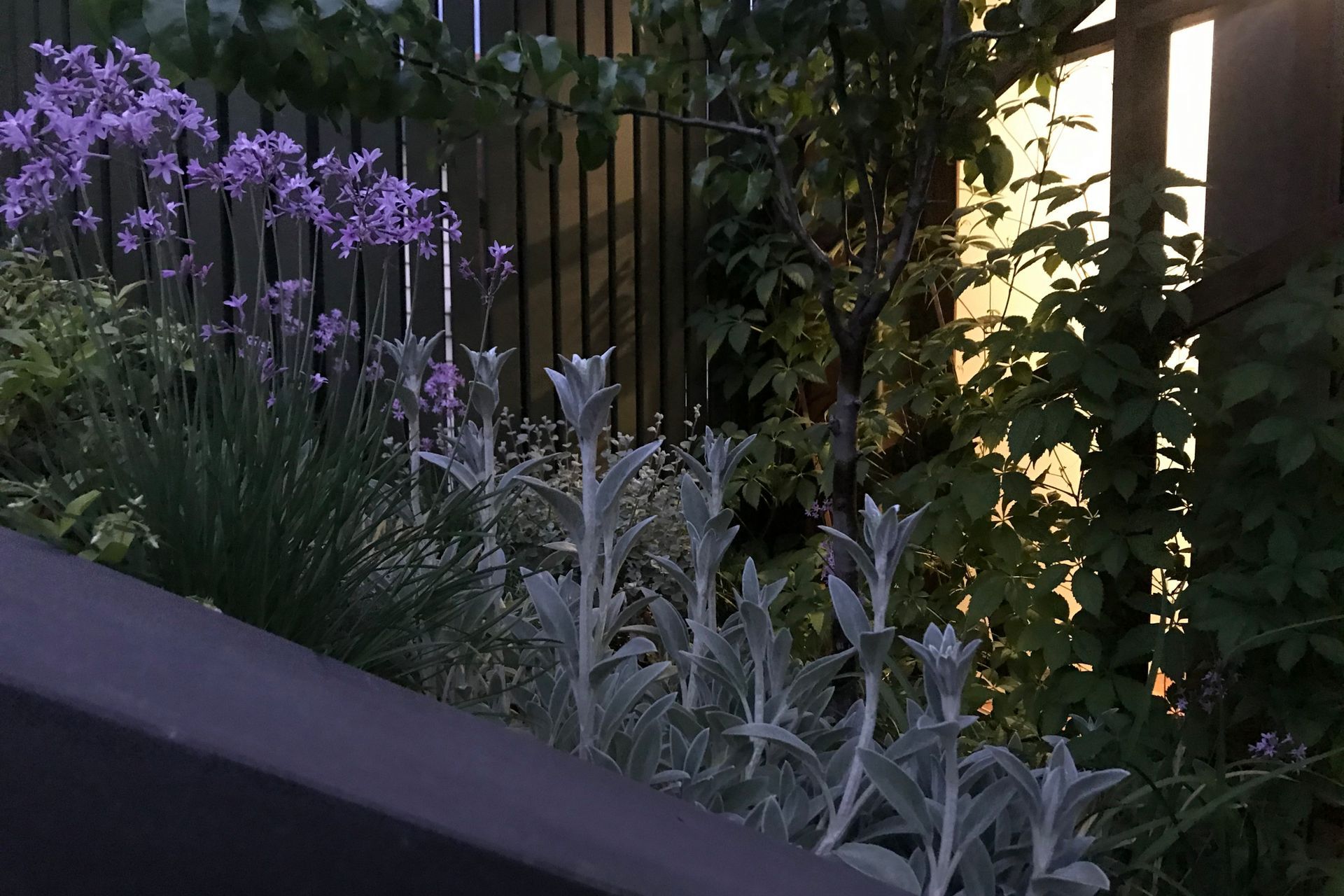 ##^^**&&'Welkin', Colourful Rooftop Terrace & 'Scarborough' Garden In Clifton Hill