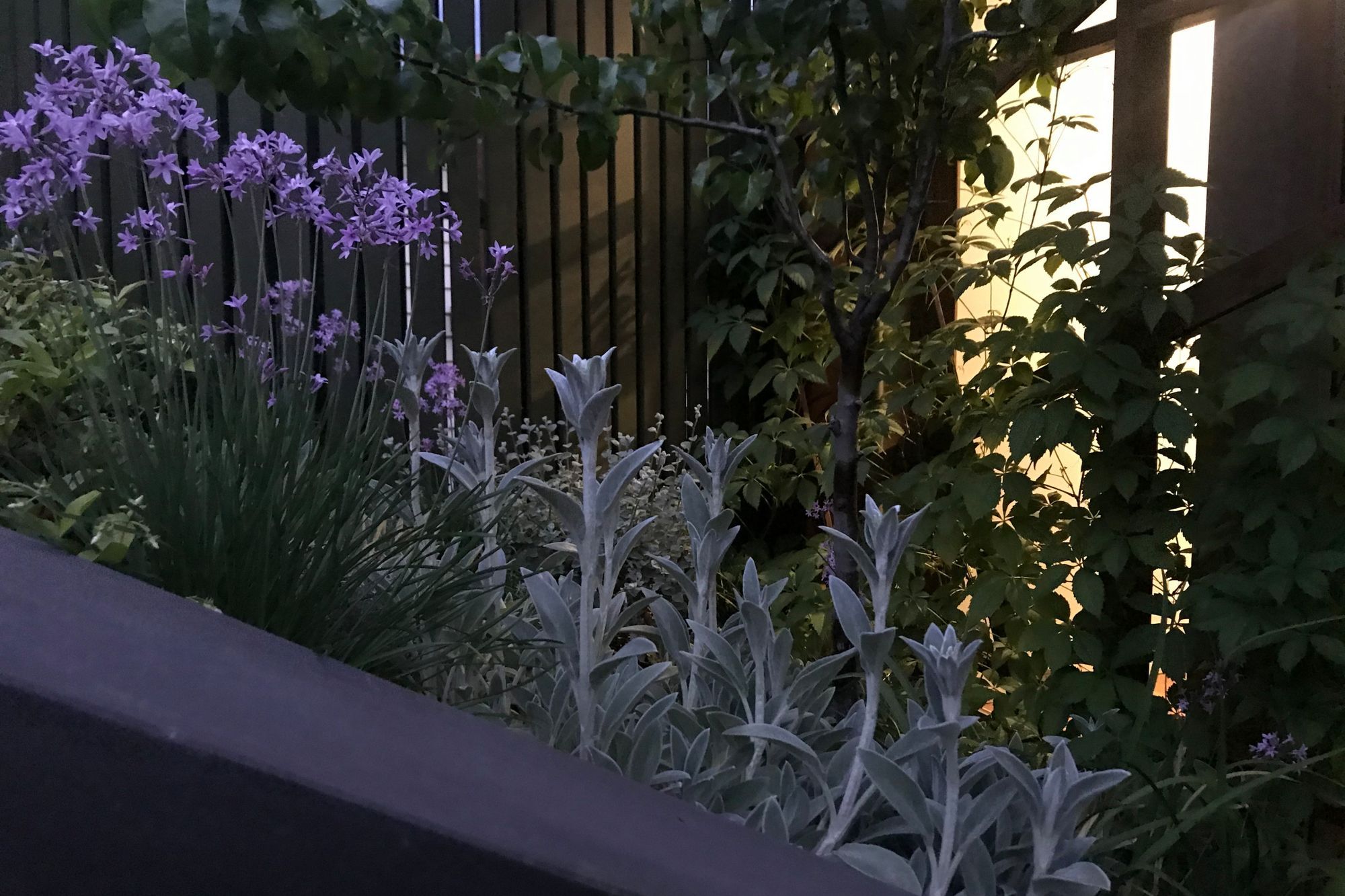 ##^^**&amp;&amp;'Welkin', Colourful Rooftop Terrace &amp; 'Scarborough' Garden In Clifton Hill