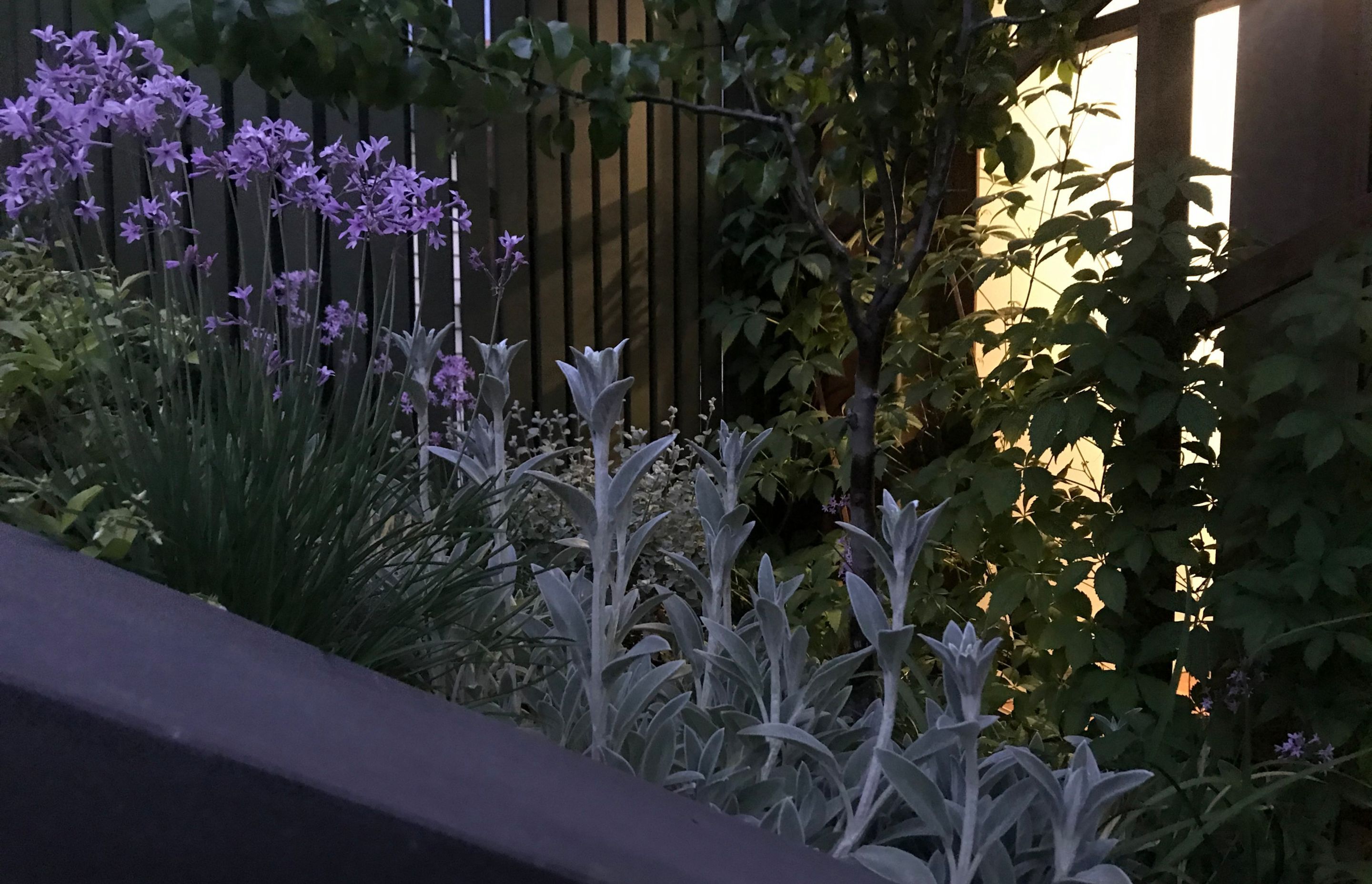 ##^^**&&'Welkin', Colourful Rooftop Terrace & 'Scarborough' Garden In Clifton Hill