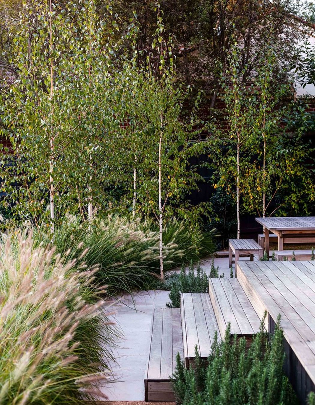 Fountain Grass Garden