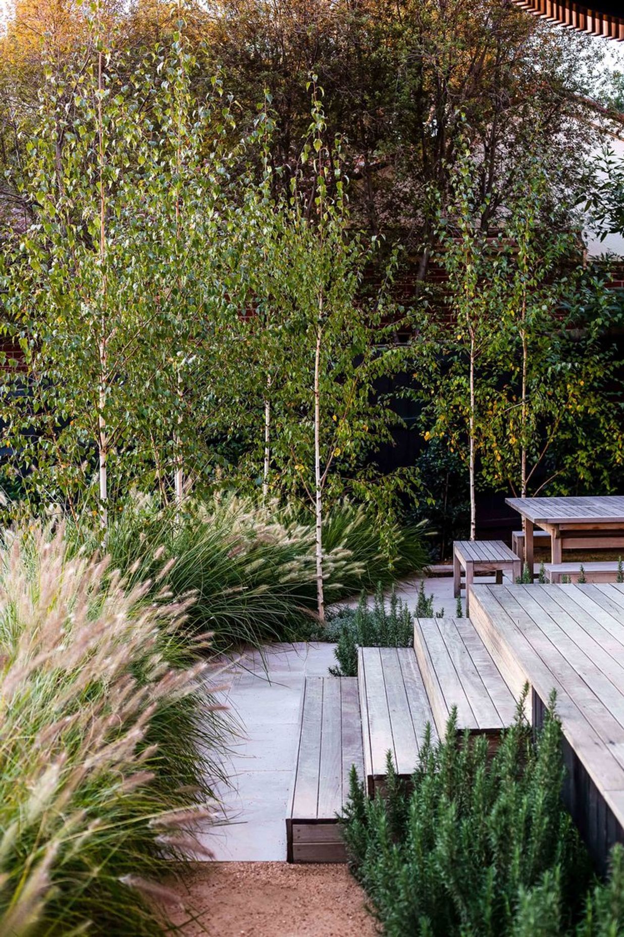 Fountain Grass Garden