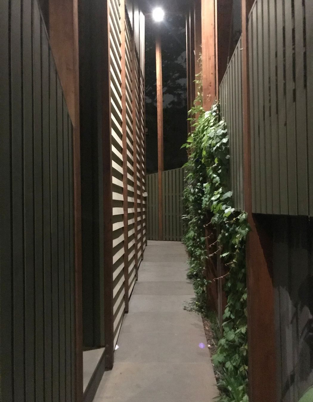 ##^^**&&'Welkin', Colourful Rooftop Terrace & 'Scarborough' Garden In Clifton Hill