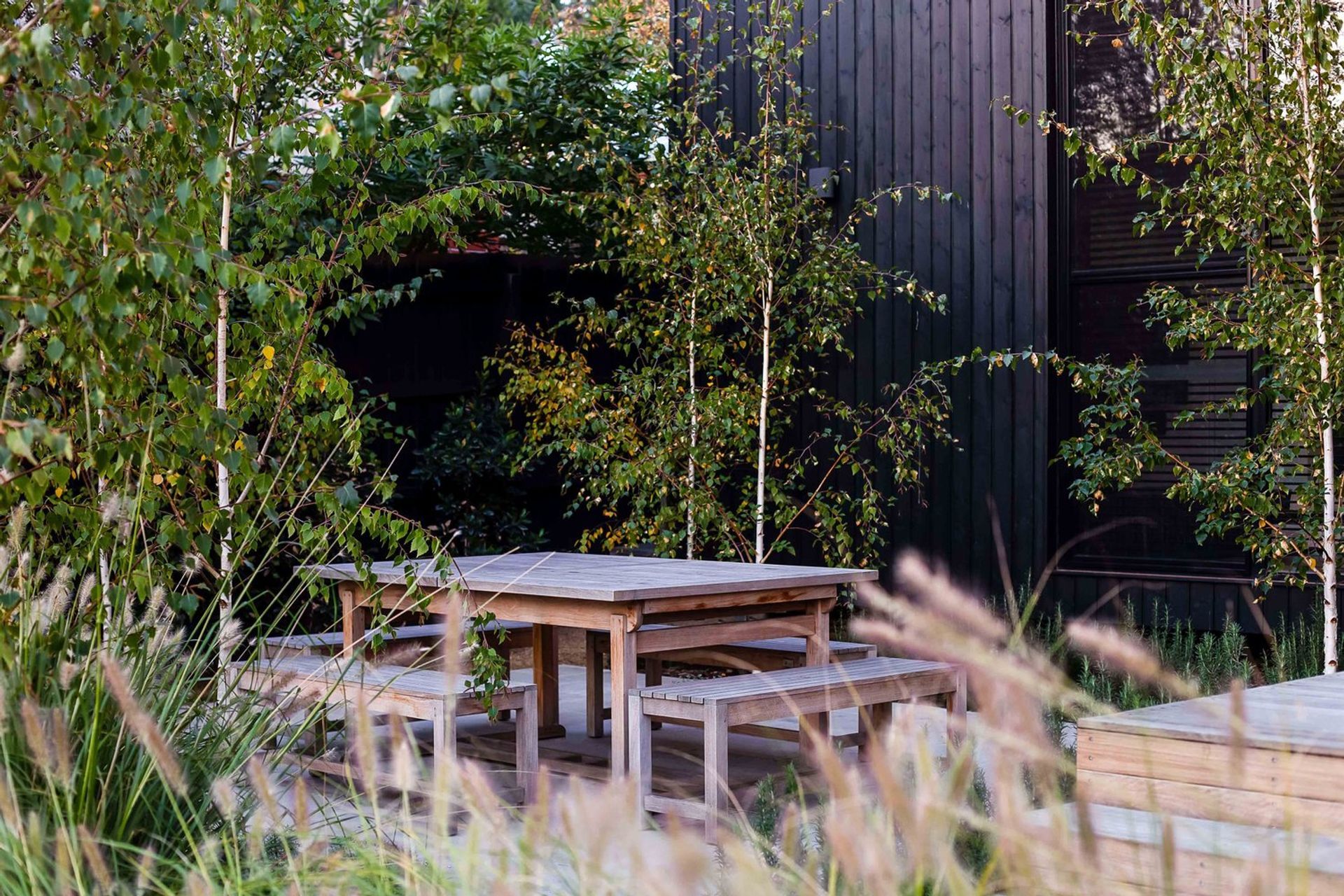 Fountain Grass Garden