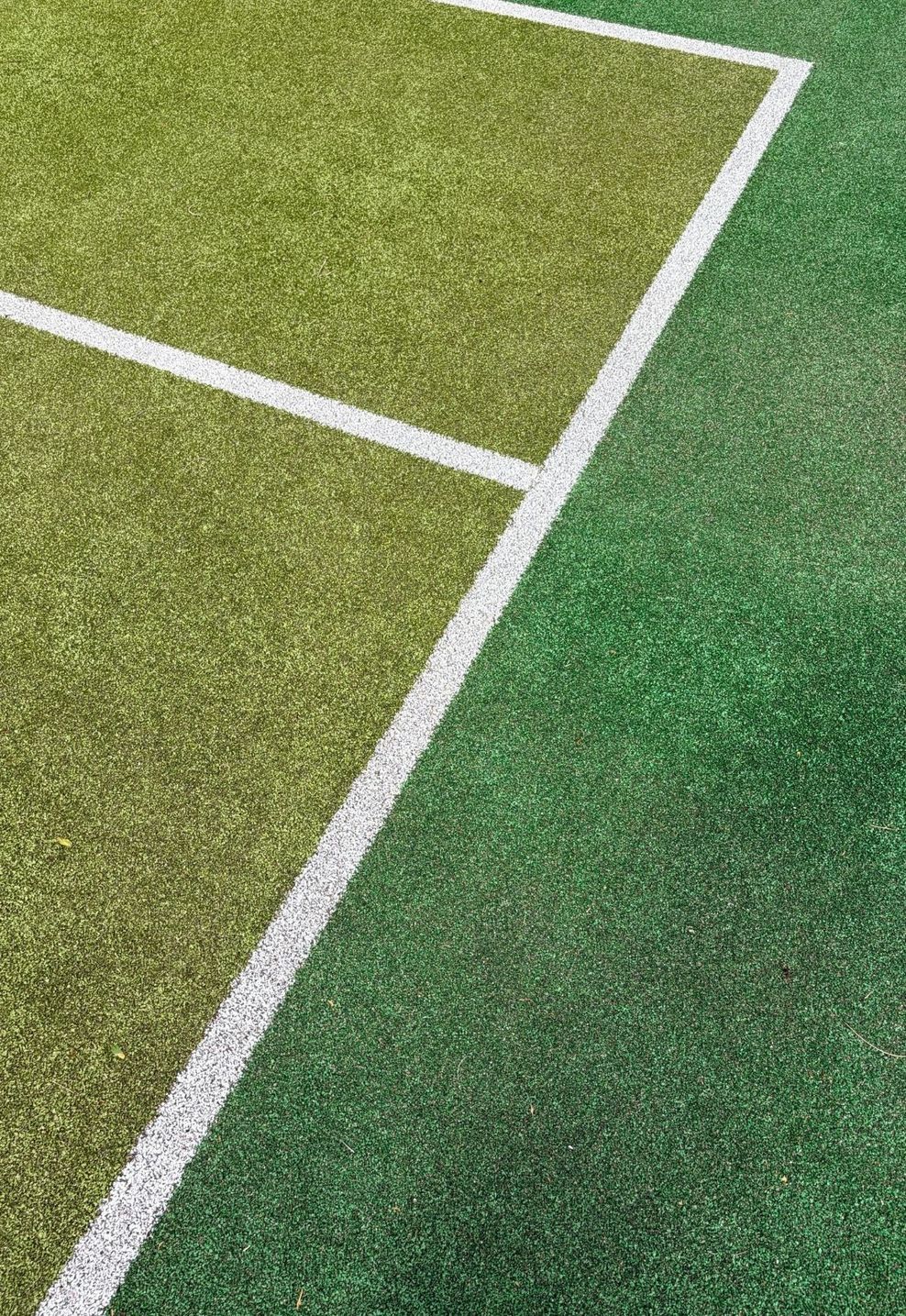 8-v18.jpg
