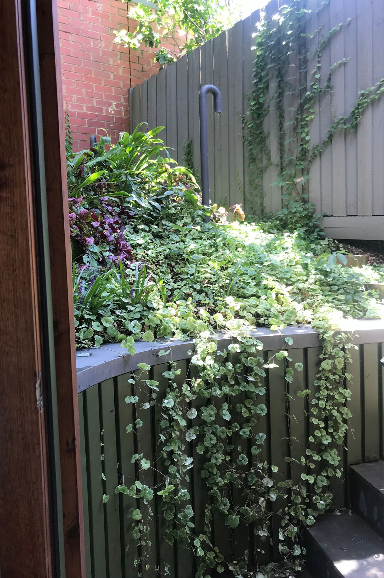##^^**&&'Welkin', Colourful Rooftop Terrace & 'Scarborough' Garden In Clifton Hill