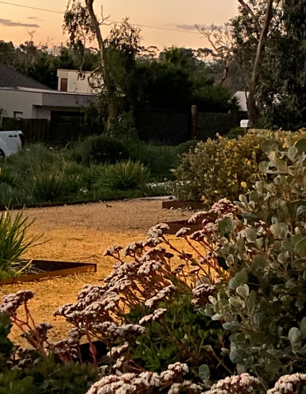 ##^^Mount Eliza Woodland Garden In Mount Eliza