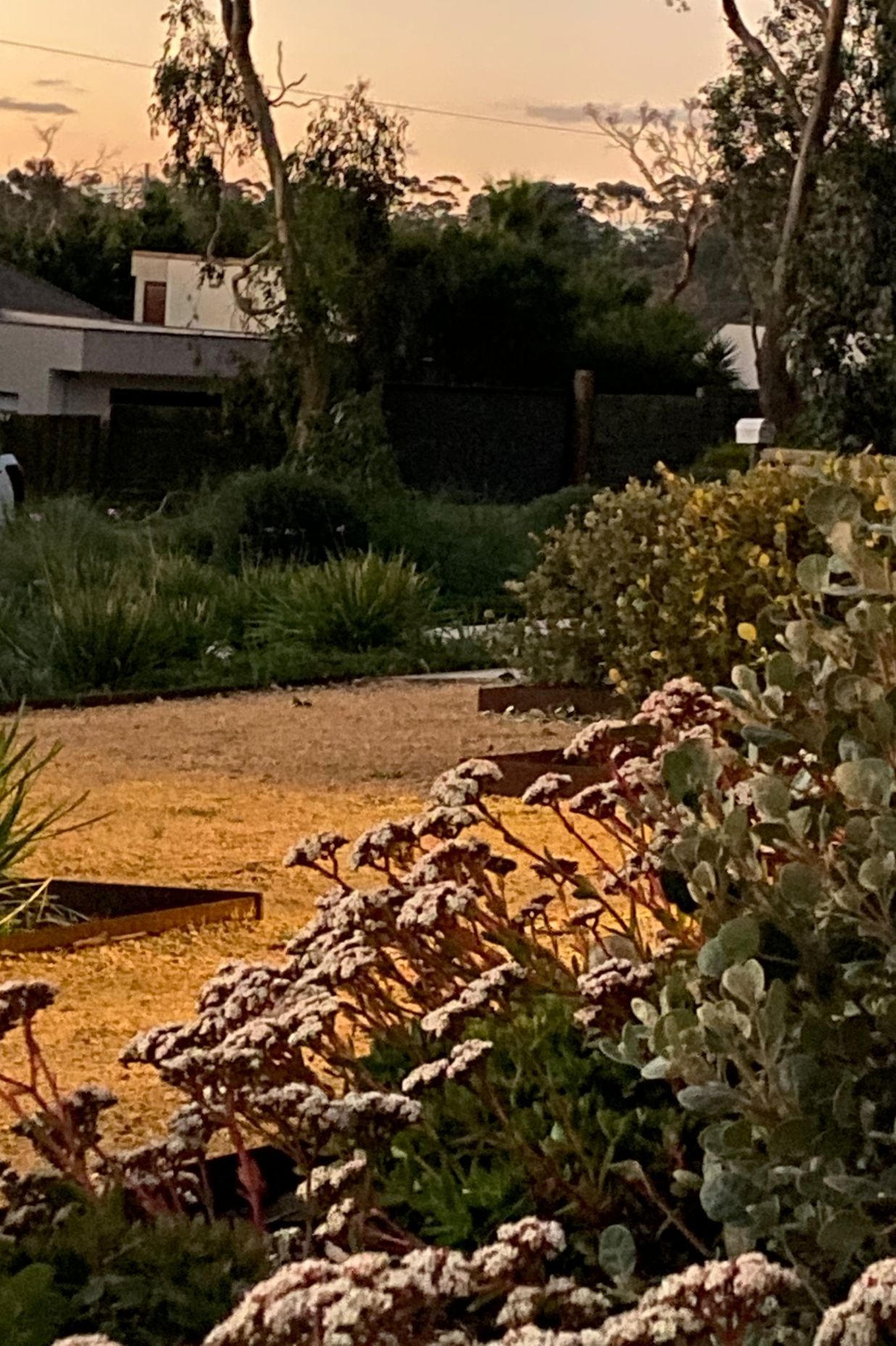 ##^^Mount Eliza Woodland Garden In Mount Eliza