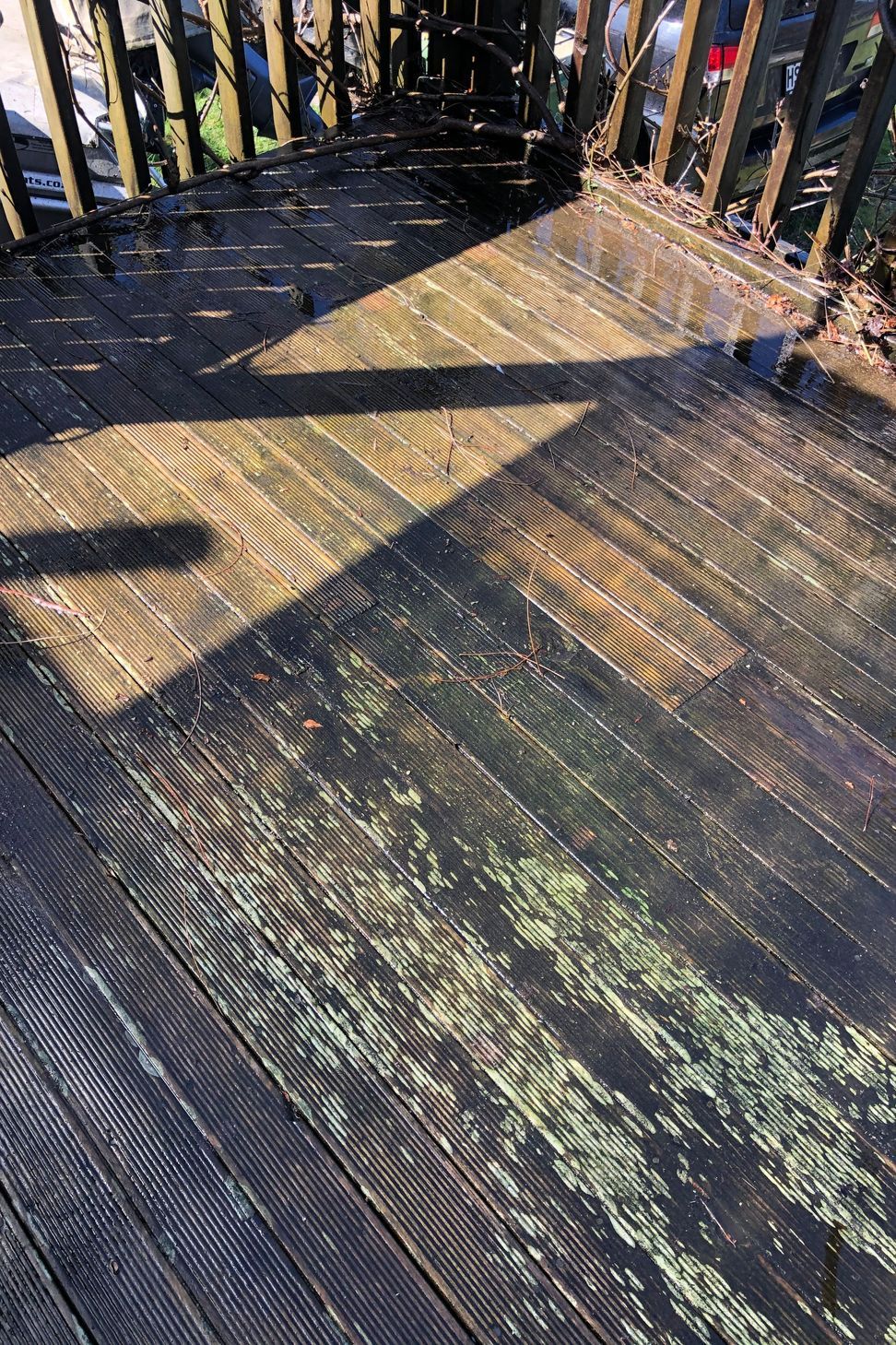 Before and After Photos