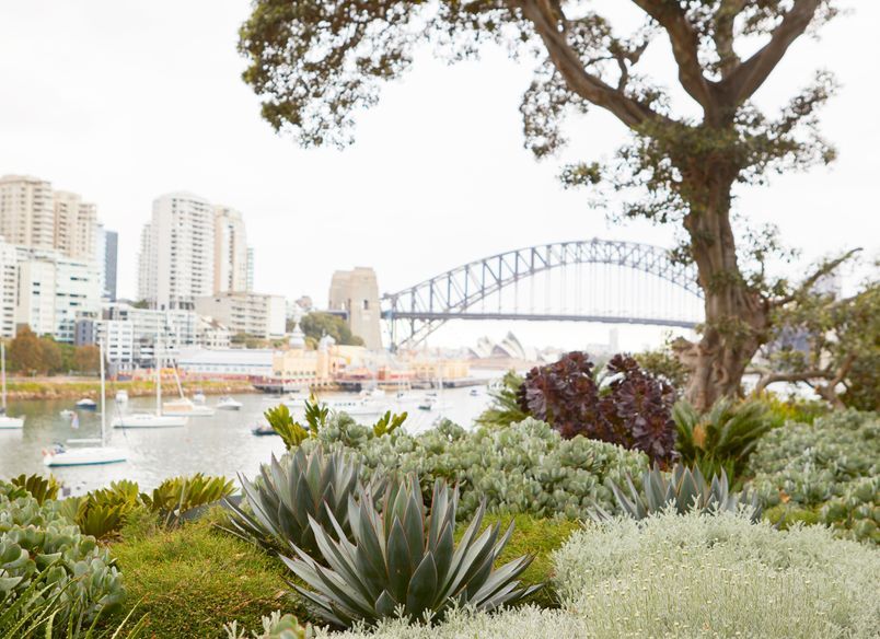 Lavender Bay