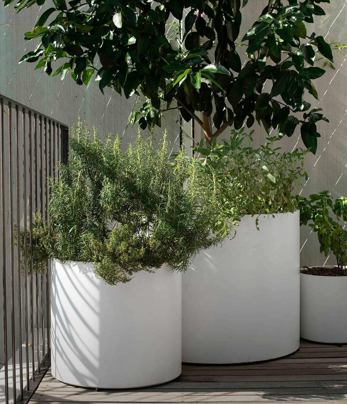 Paddington Terrace