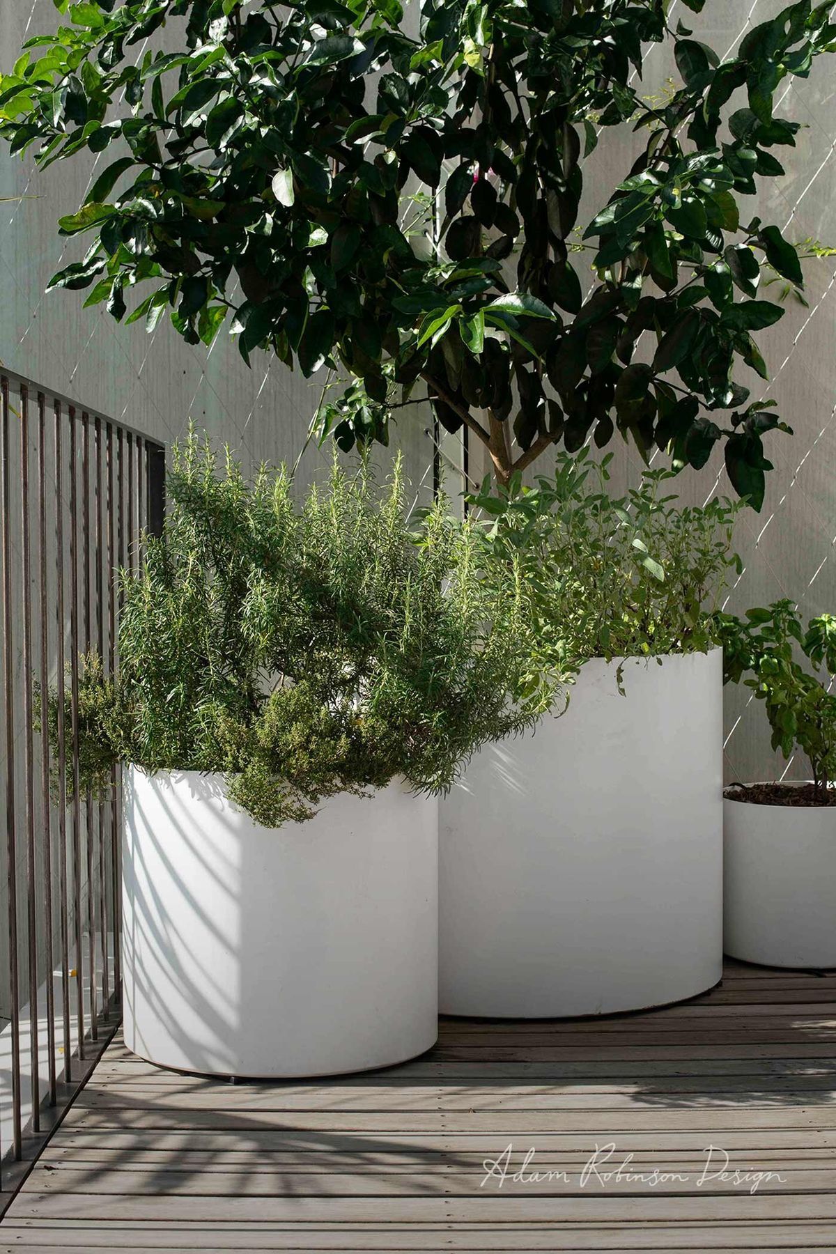 Paddington Terrace
