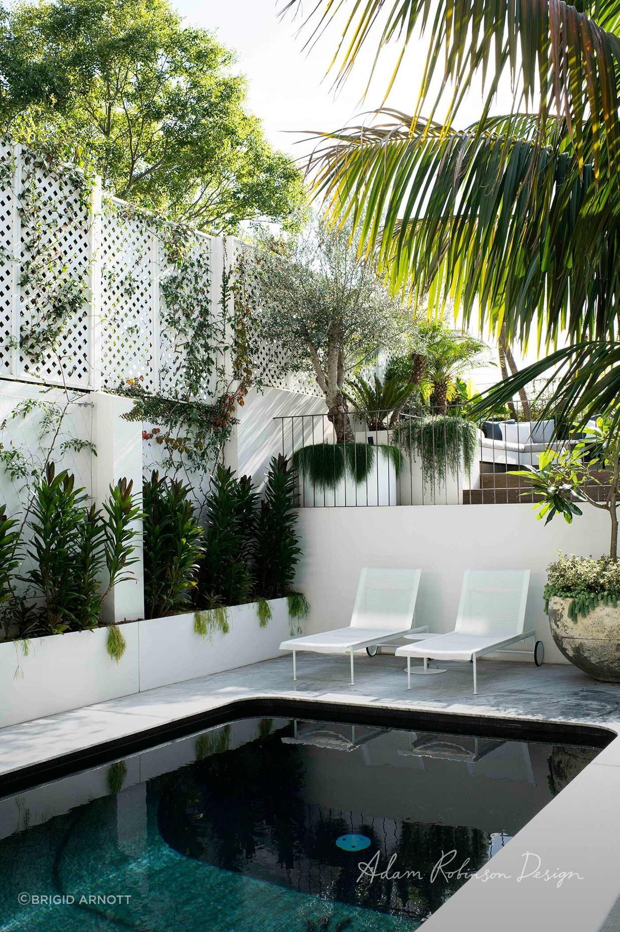 Paddington Terrace