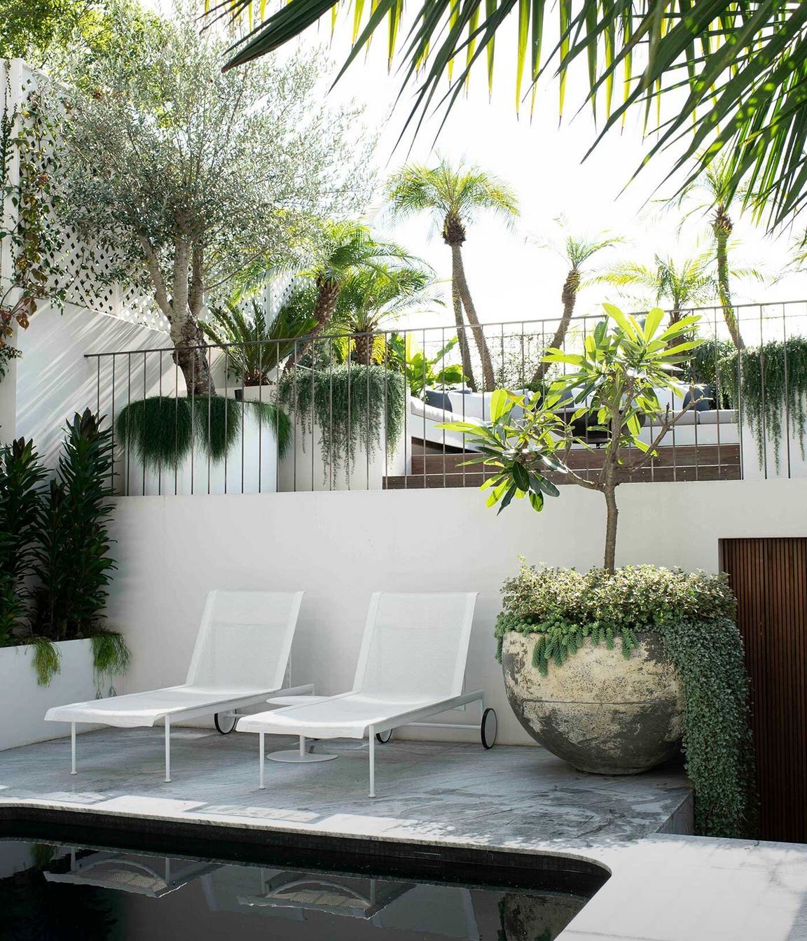 Paddington Terrace