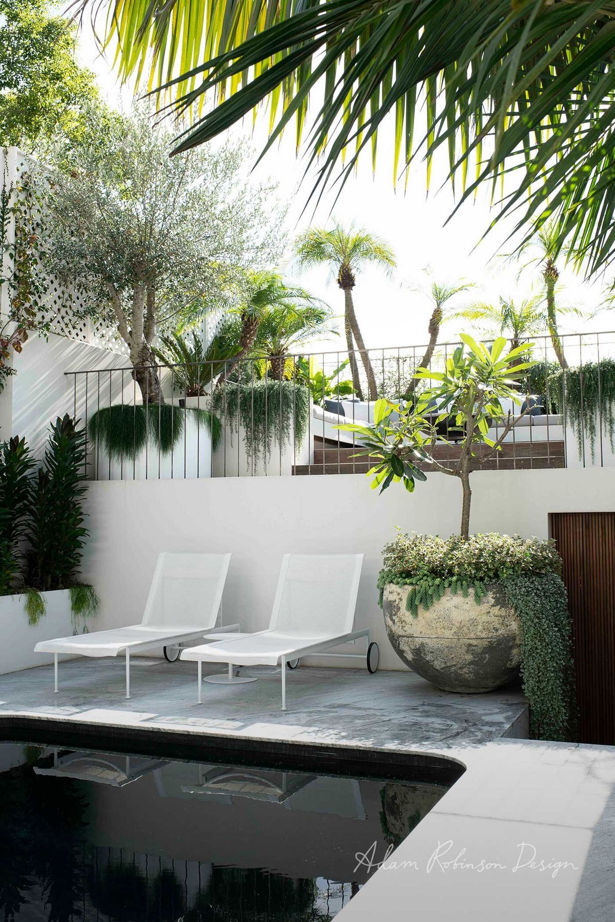 Paddington Terrace