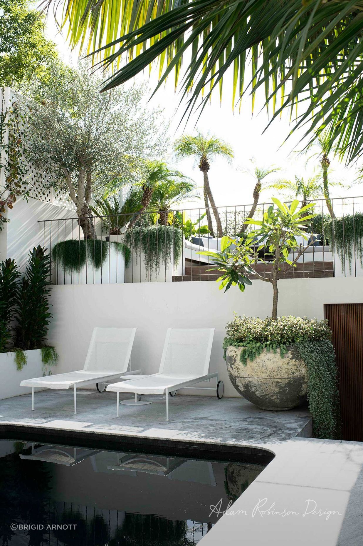 Paddington Terrace