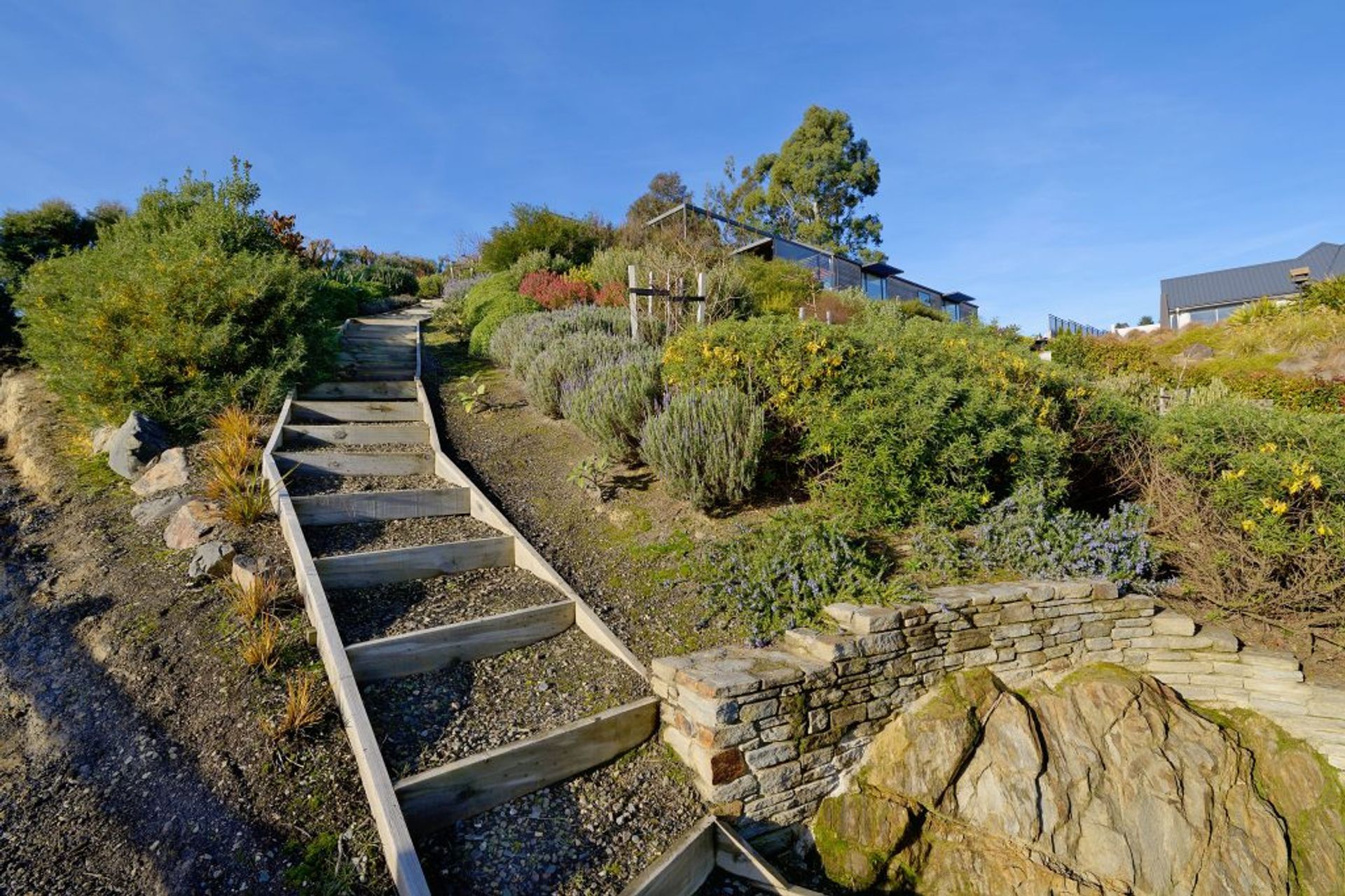 Mosgiel Hillside Landscape Challenge