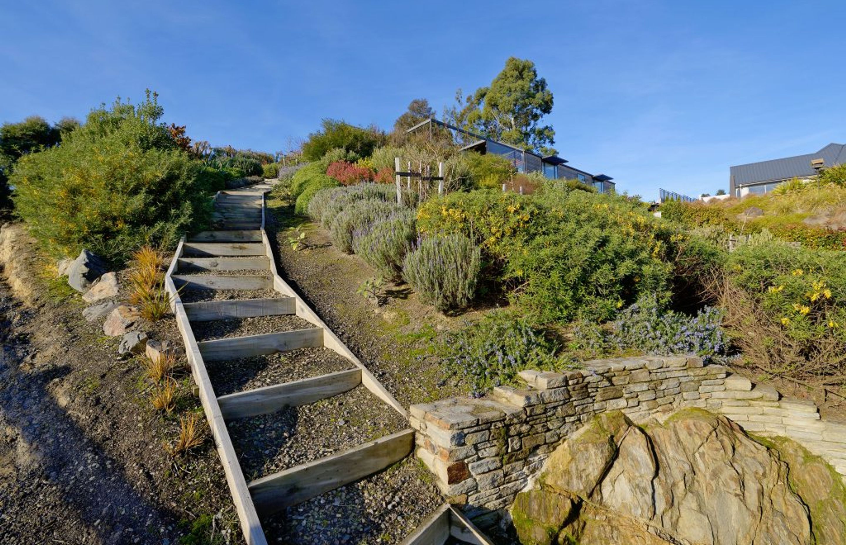 Mosgiel Hillside Landscape Challenge