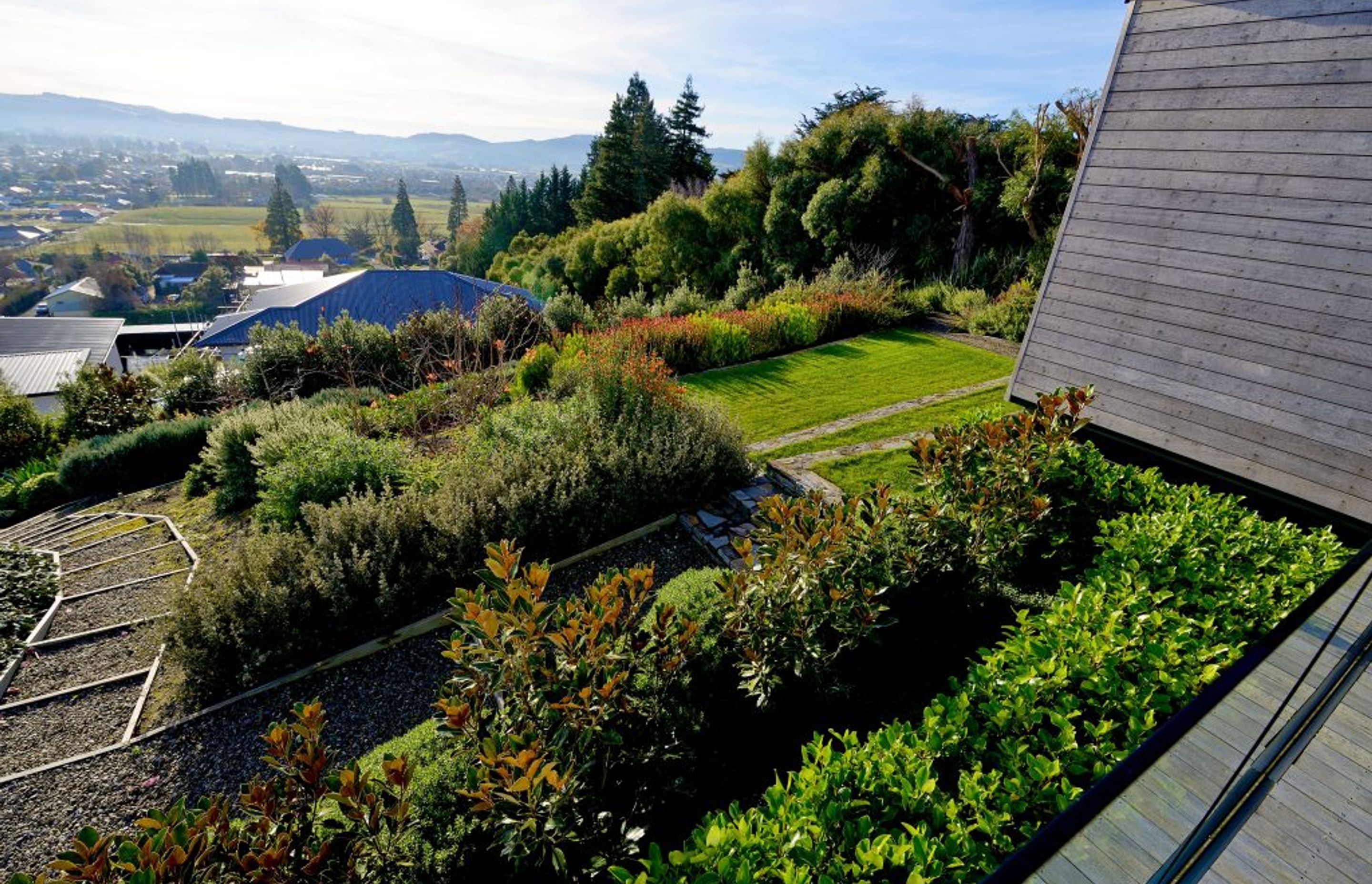 Mosgiel Hillside Landscape Challenge