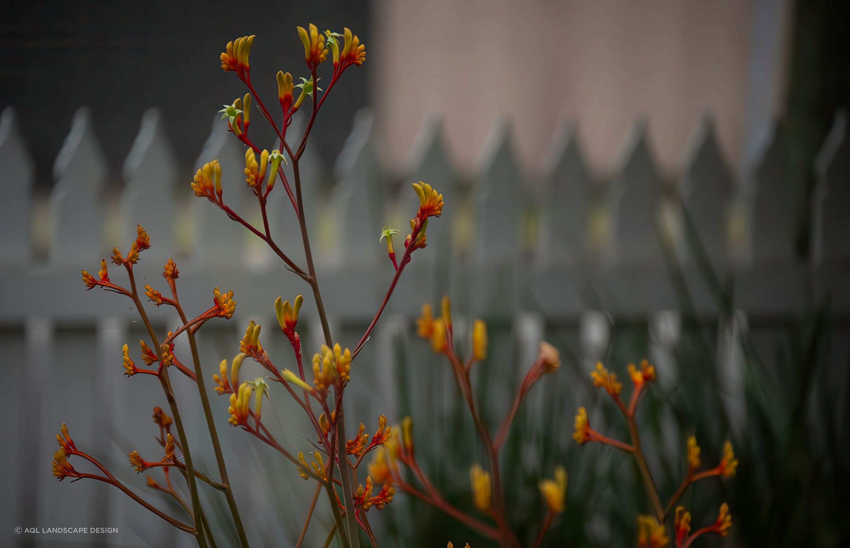 AQL-Landscapes-Smith-Thornbury-39-gigapixel-low-resolution-v2-2x.jpeg