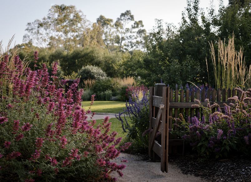 Eltham Garden