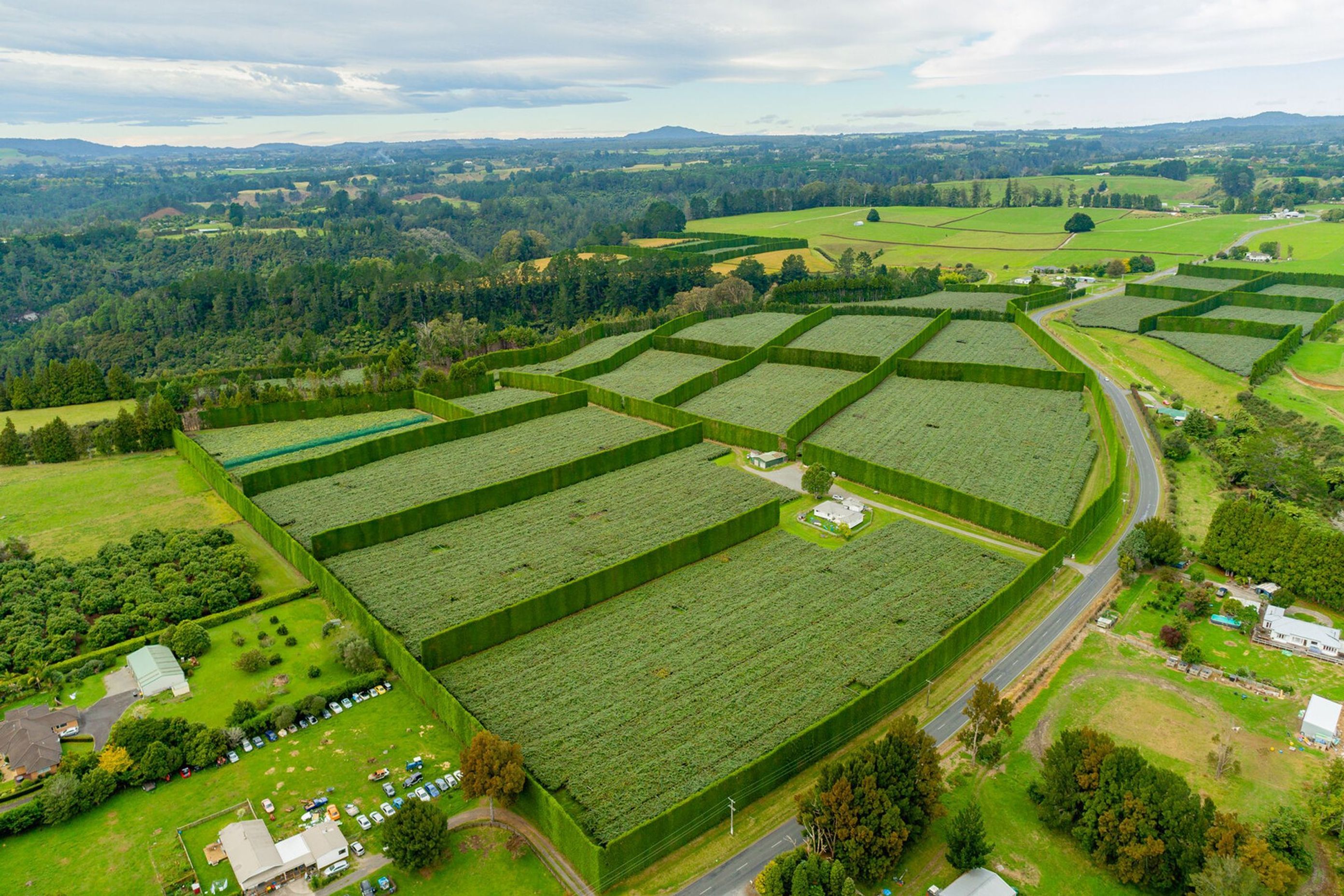 Aerial-Photography3-v2.jpg