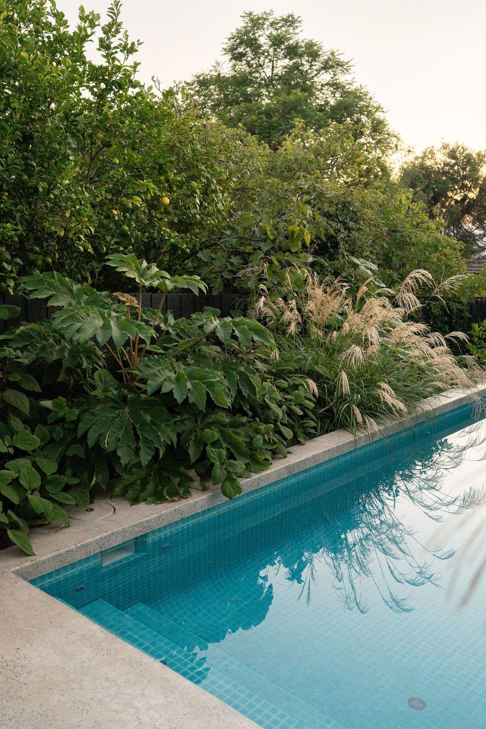 Andy-Murray-Landscape-Design-16-v2.jpg