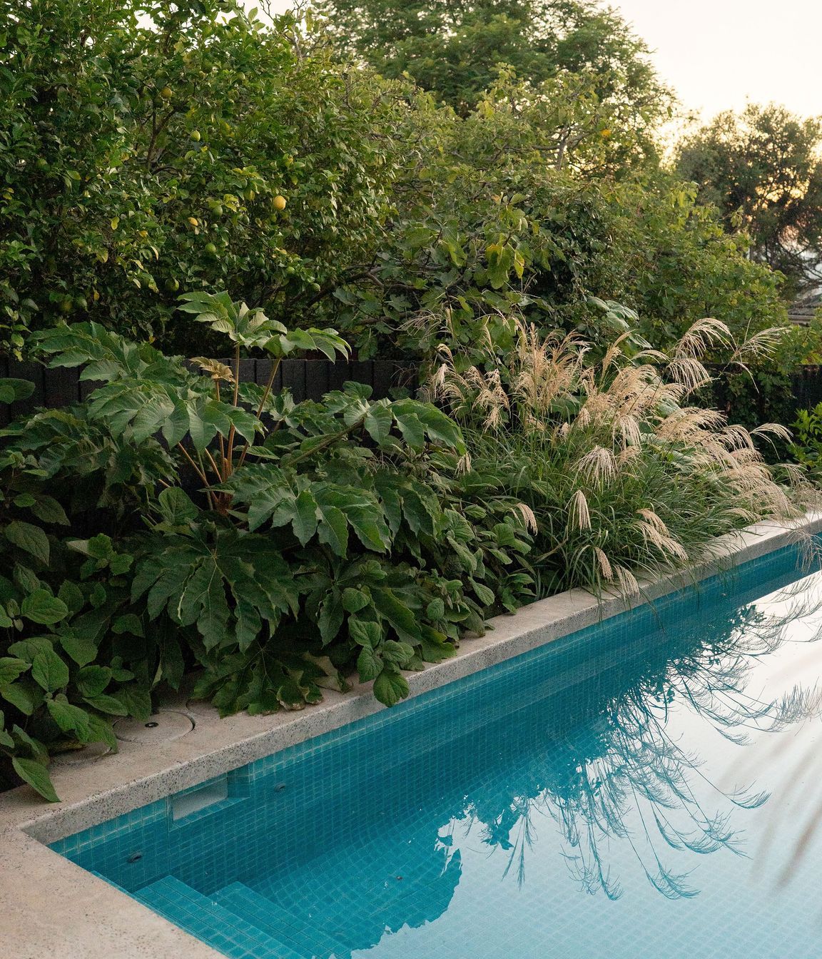 Andy-Murray-Landscape-Design-16-v2.jpg