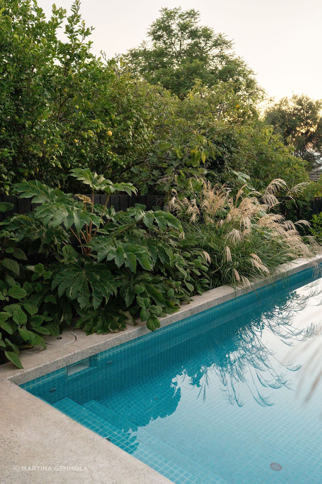 Andy-Murray-Landscape-Design-16-v2.jpg