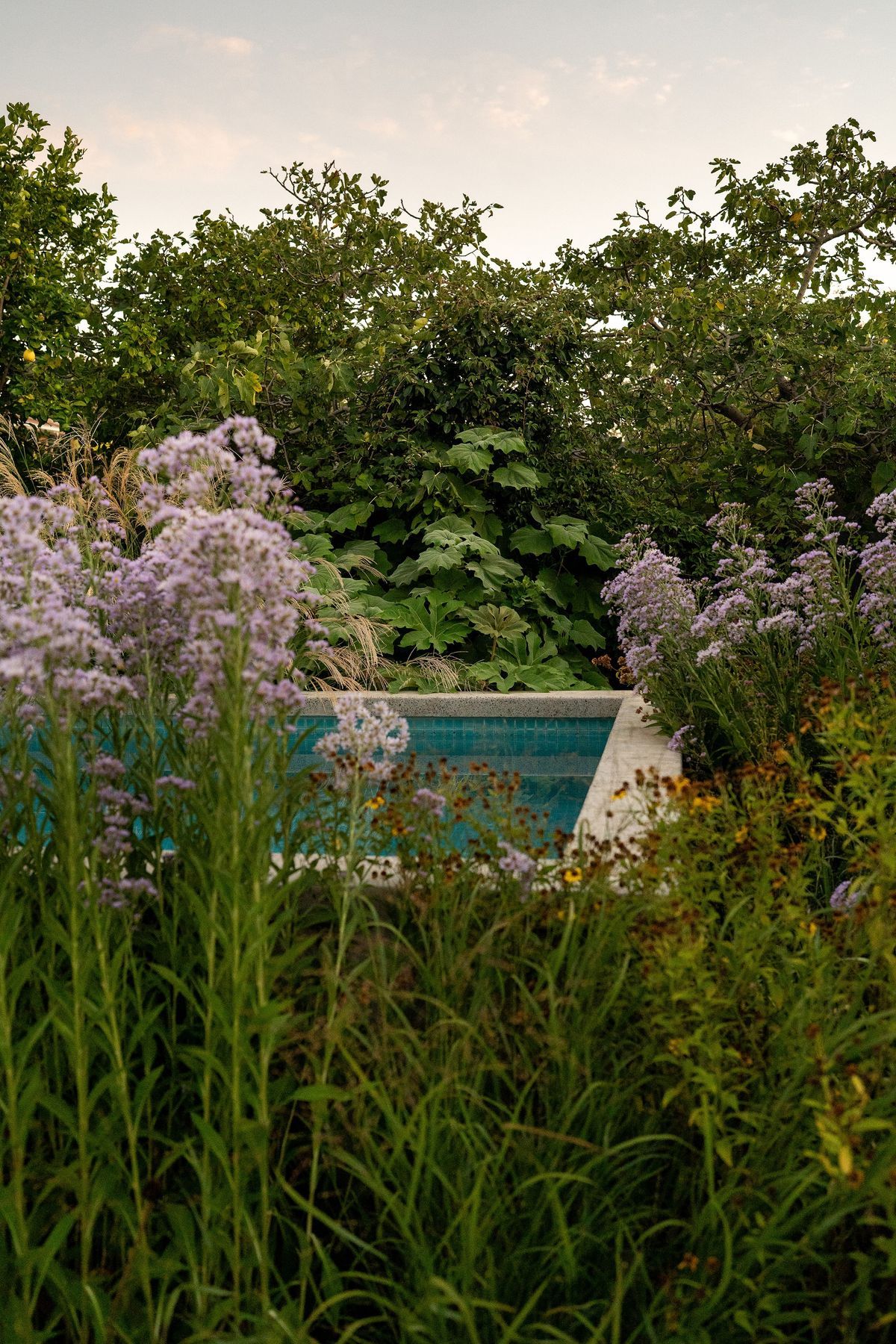 Andy-Murray-Landscape-Design-27.jpg