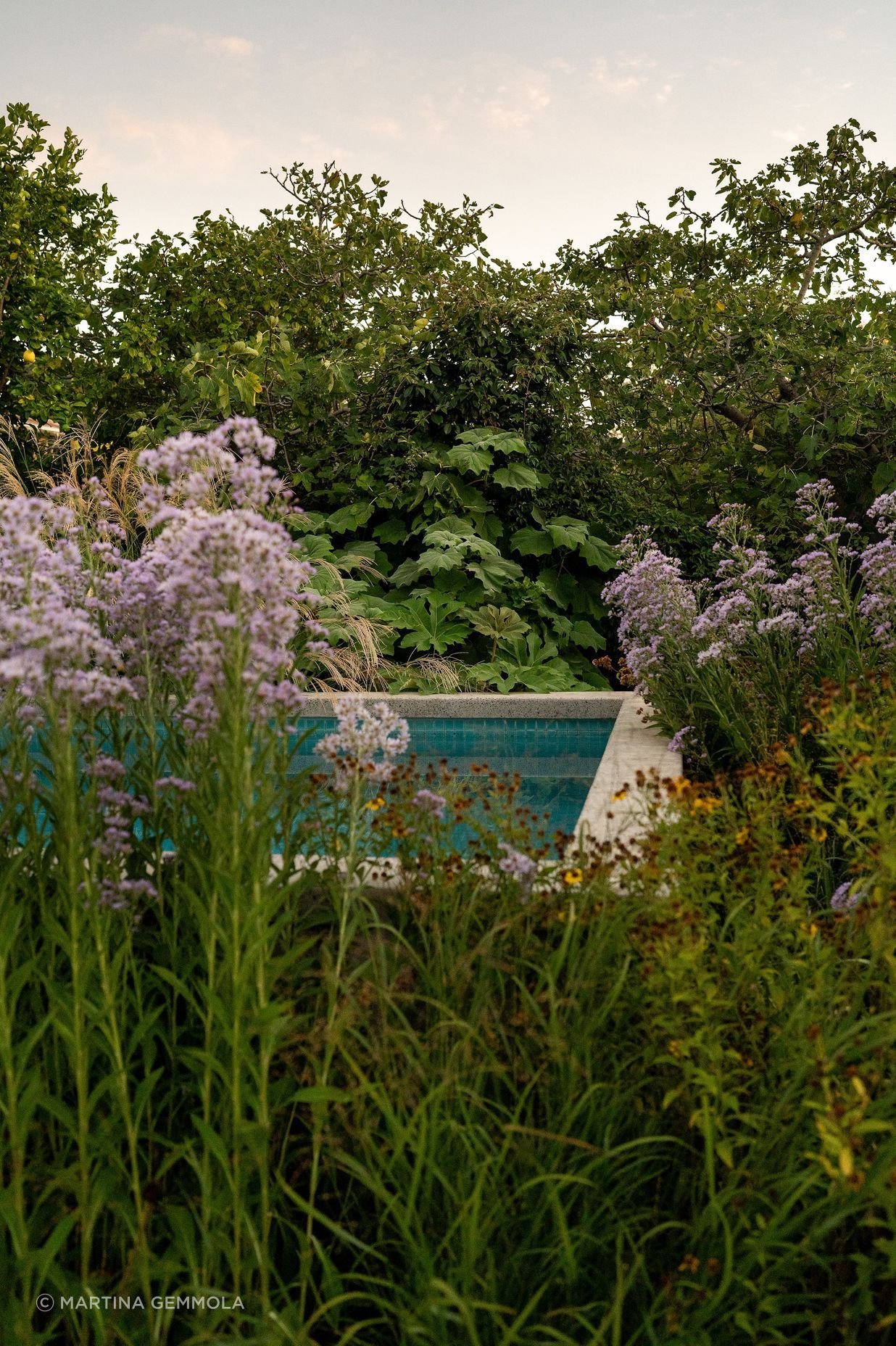 Andy-Murray-Landscape-Design-27.jpg