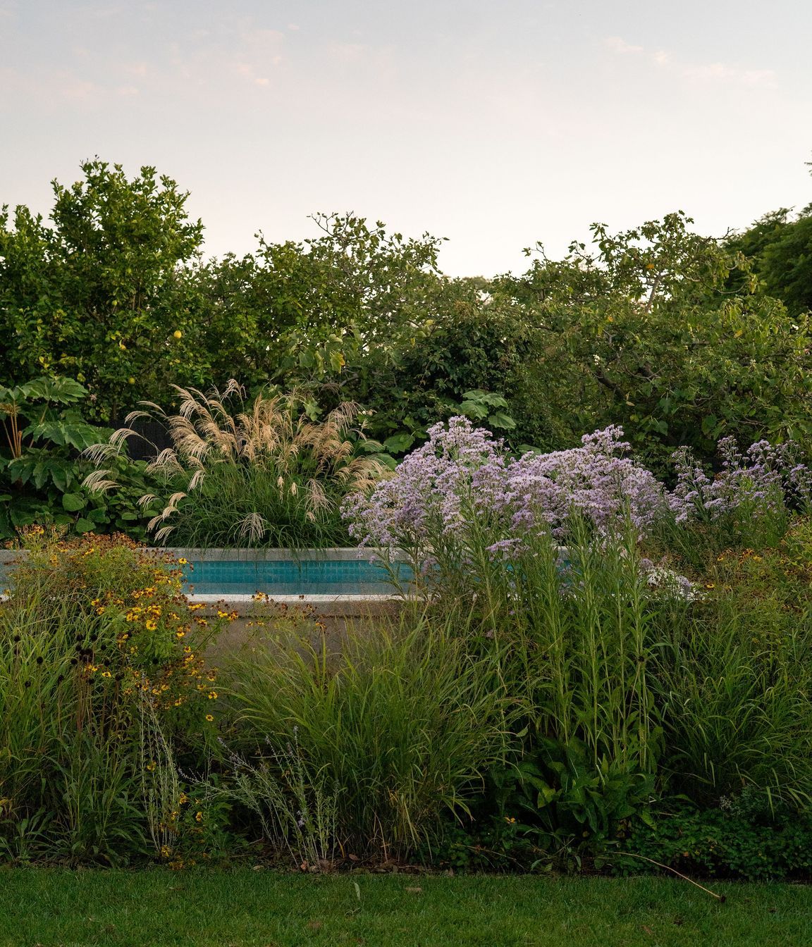 Andy-Murray-Landscape-Design-4-v6.jpg