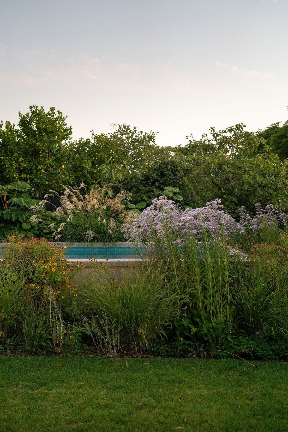 Andy-Murray-Landscape-Design-4-v6.jpg