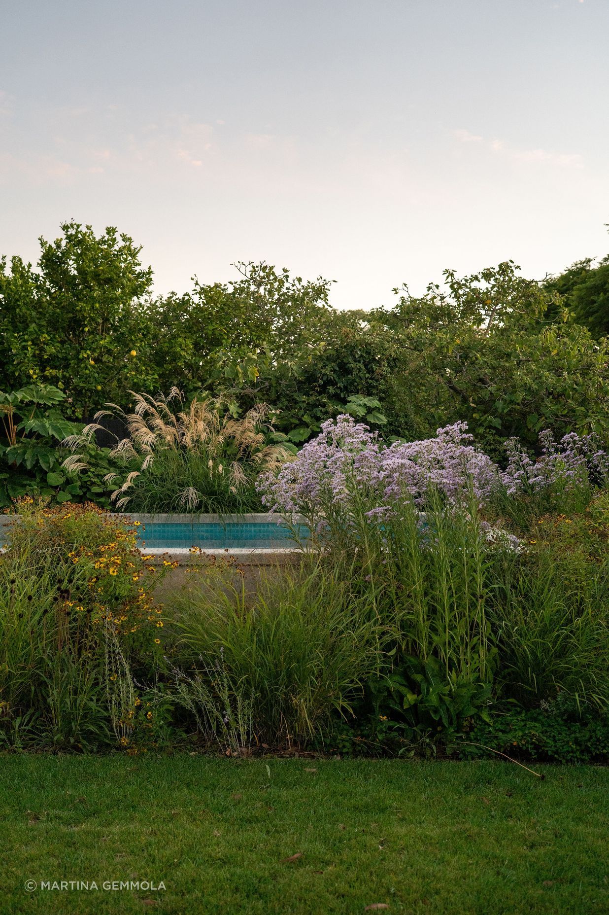 Andy-Murray-Landscape-Design-4-v6.jpg