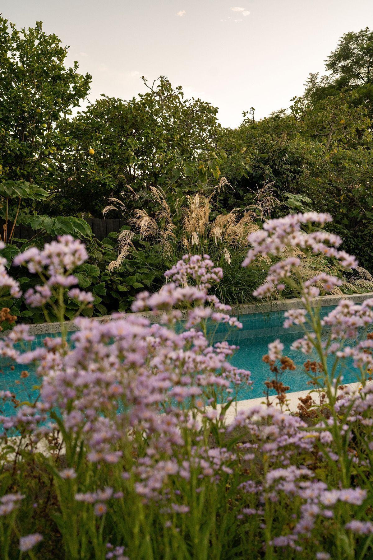 Andy-Murray-Landscape-Design-43.jpg