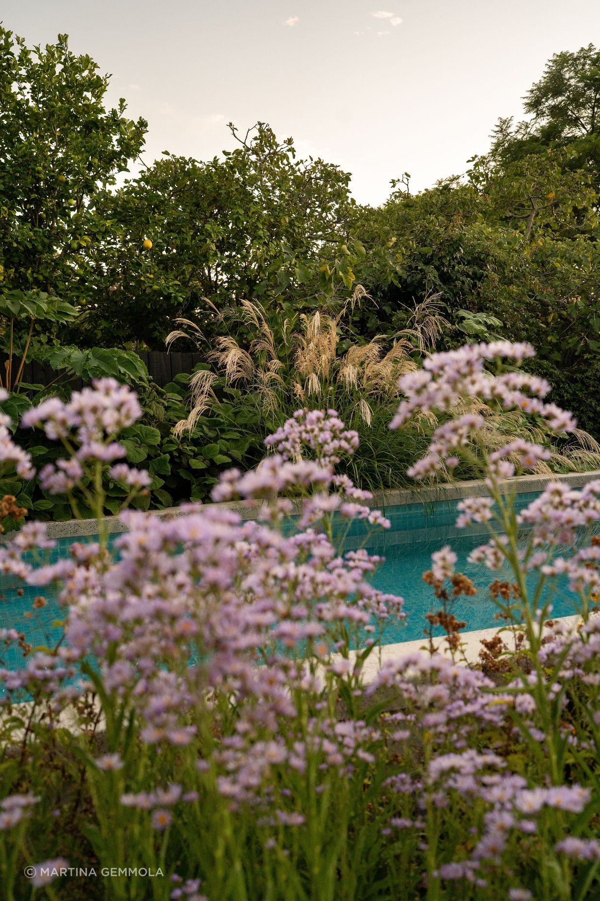 Andy-Murray-Landscape-Design-43.jpg