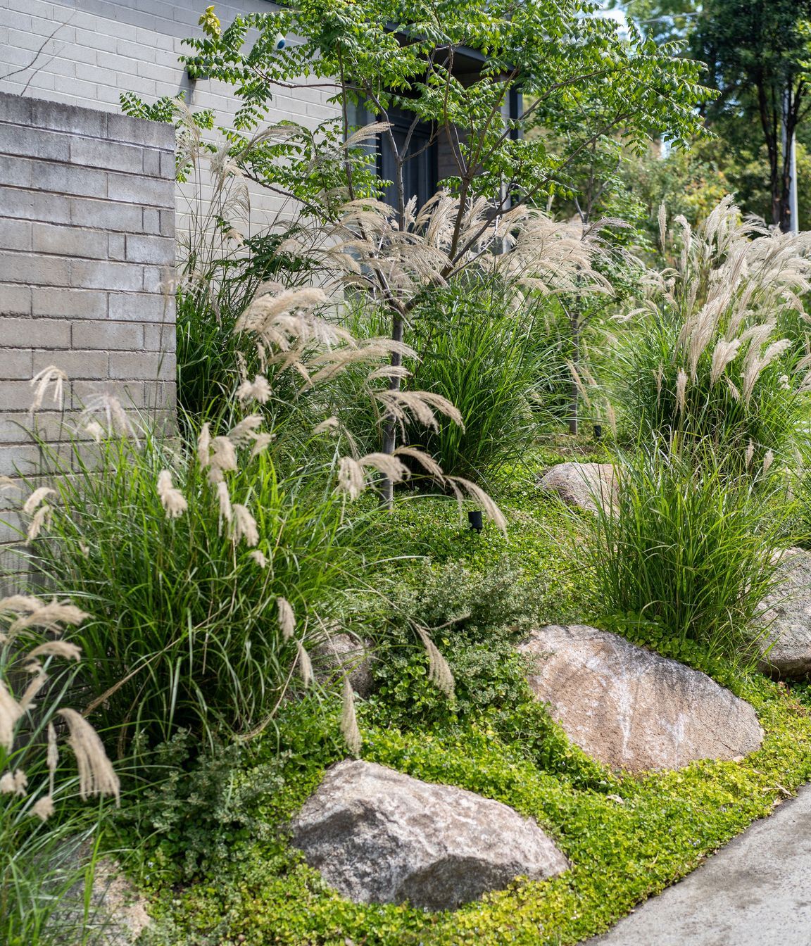 Andy-Murray-Landscape-Design-44.jpg