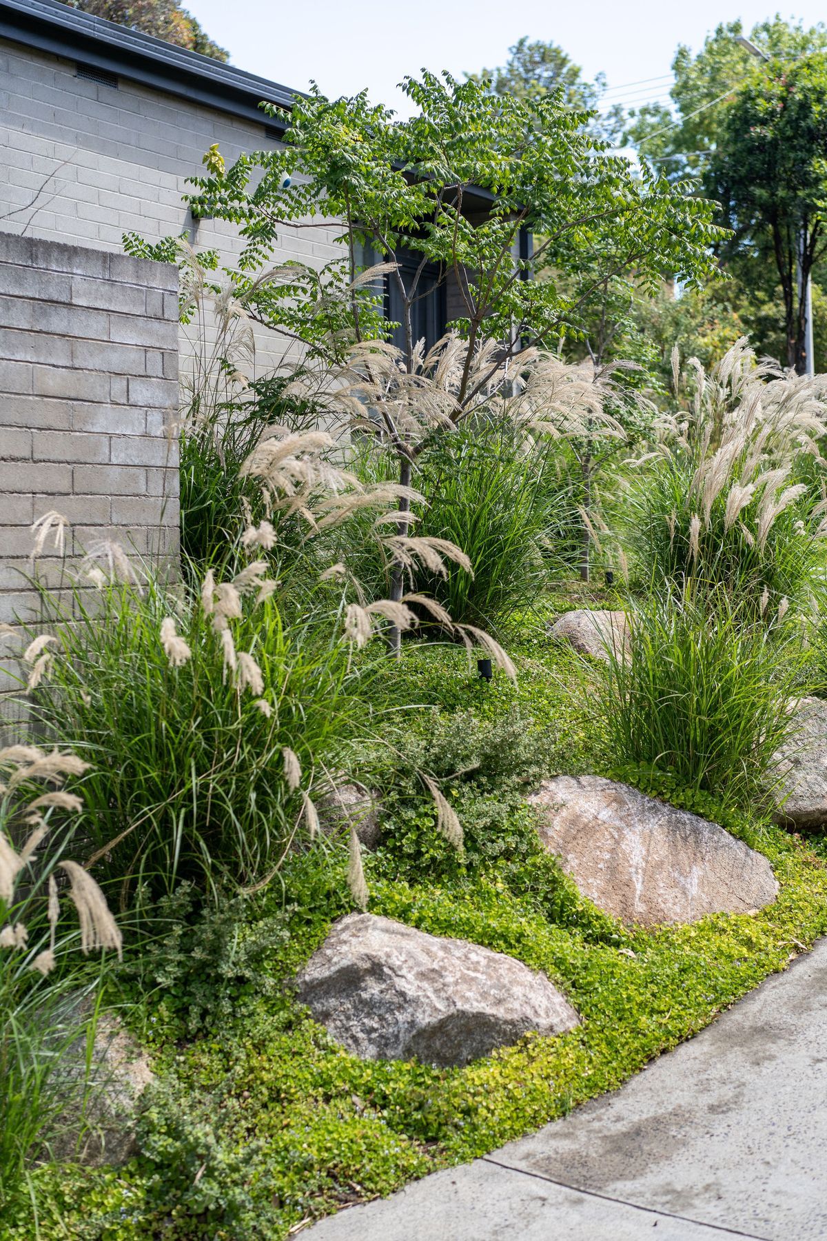 Andy-Murray-Landscape-Design-44.jpg