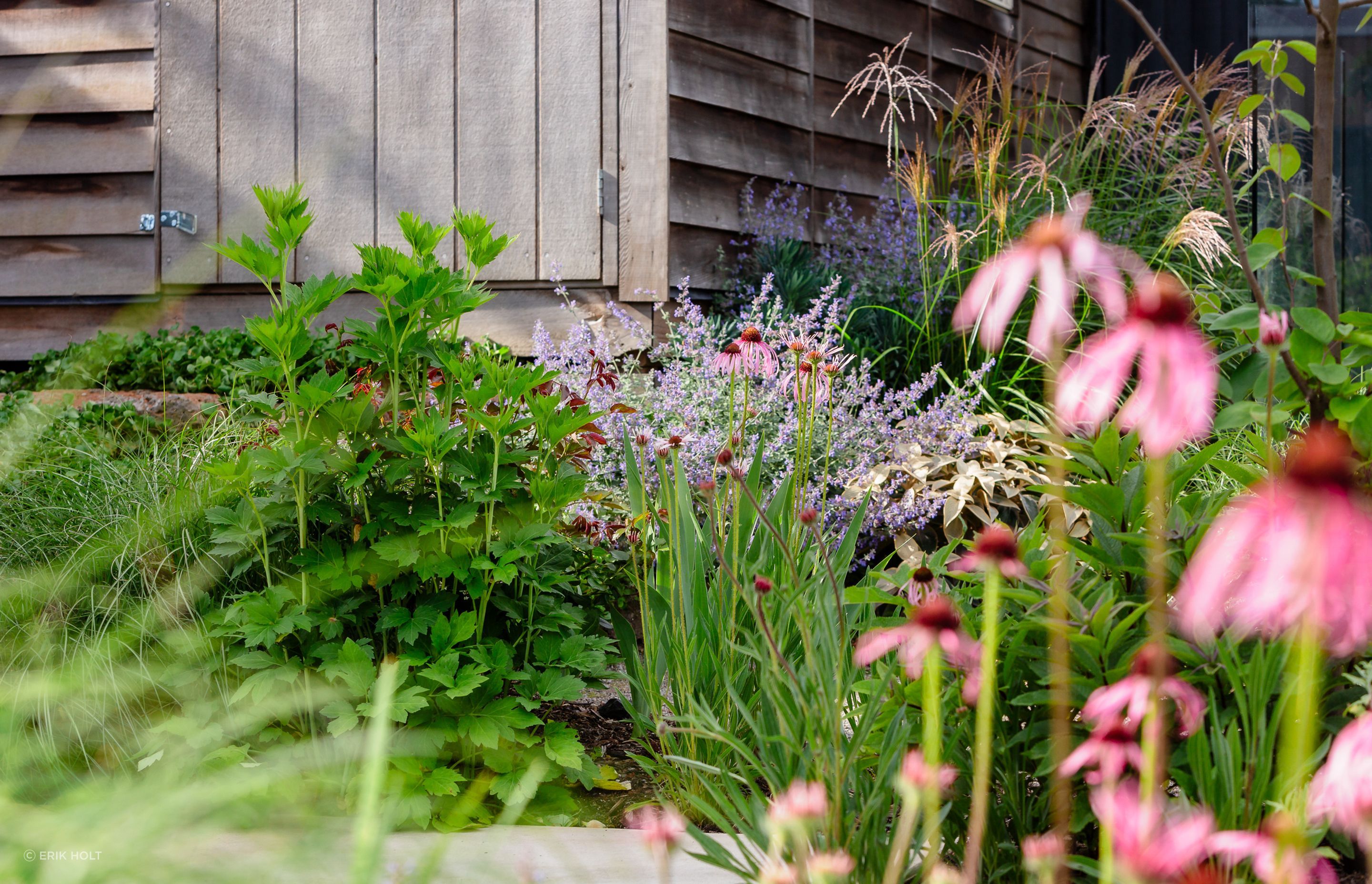 Andy-Murray-Landscape-Design-5-v6.jpg