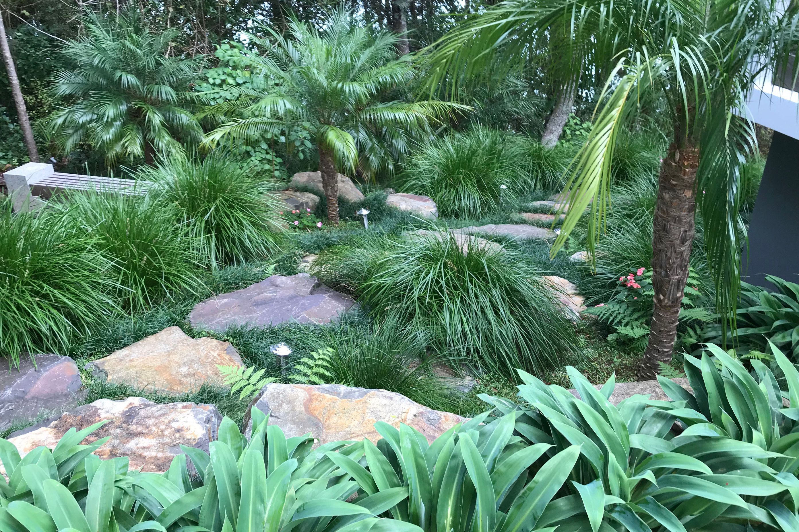 Stone steps with native and sub tropical planting theme.
