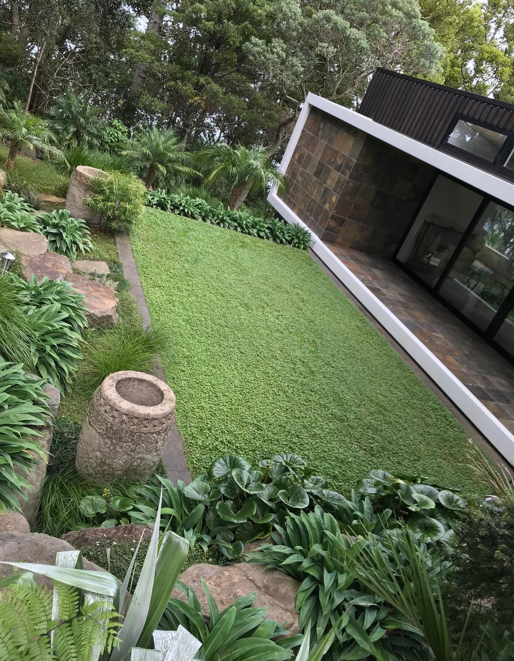 Asian carved stone pots. Dicondra lawn & native/subtropical plantings.