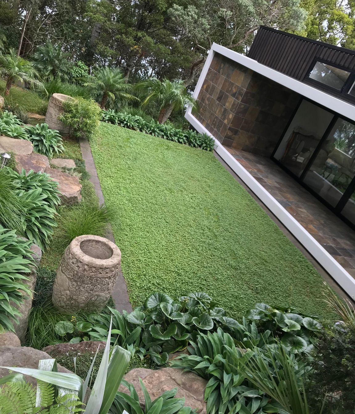 Asian carved stone pots. Dicondra lawn &amp; native/subtropical plantings.
