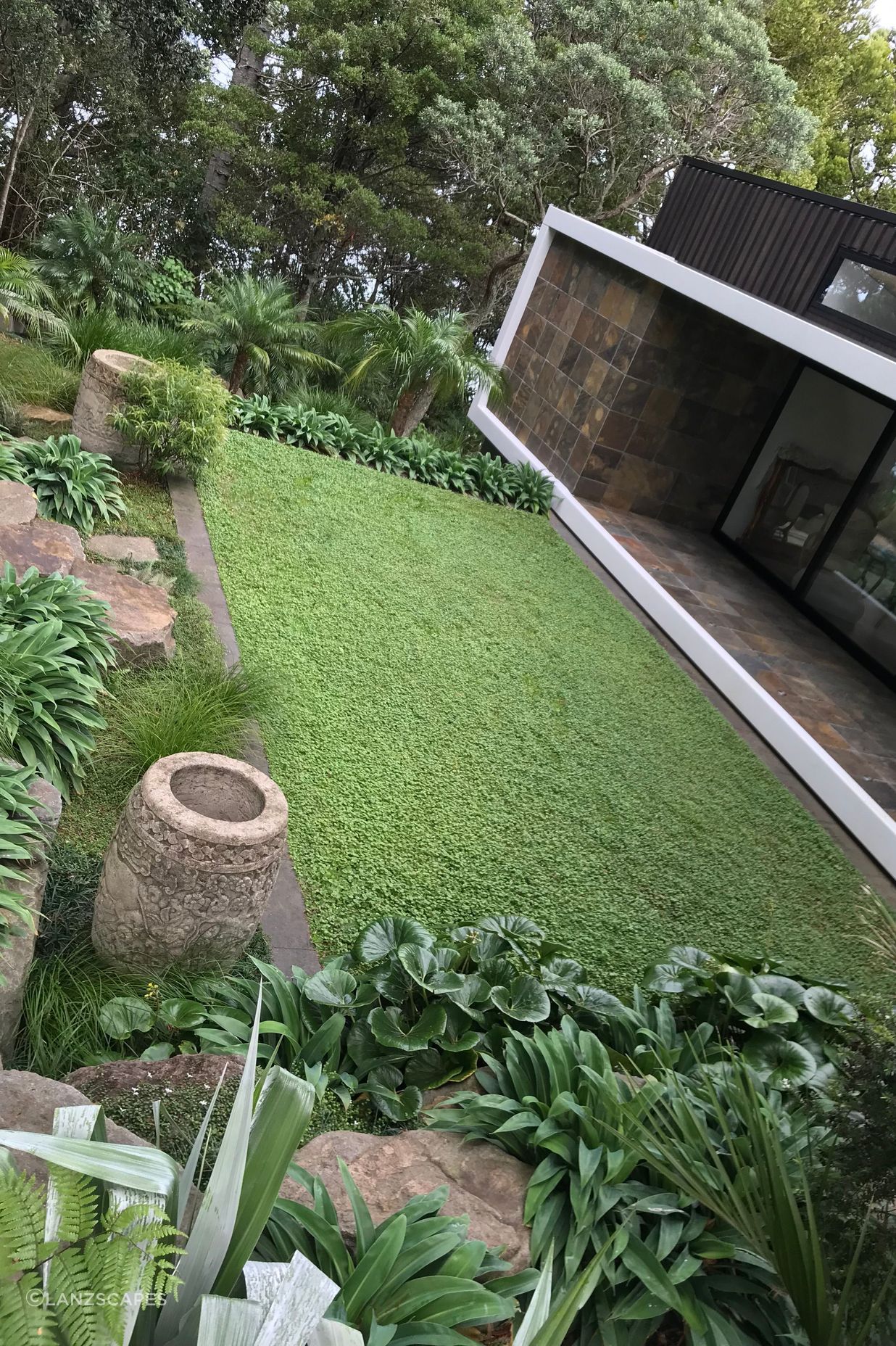 Asian carved stone pots. Dicondra lawn & native/subtropical plantings.