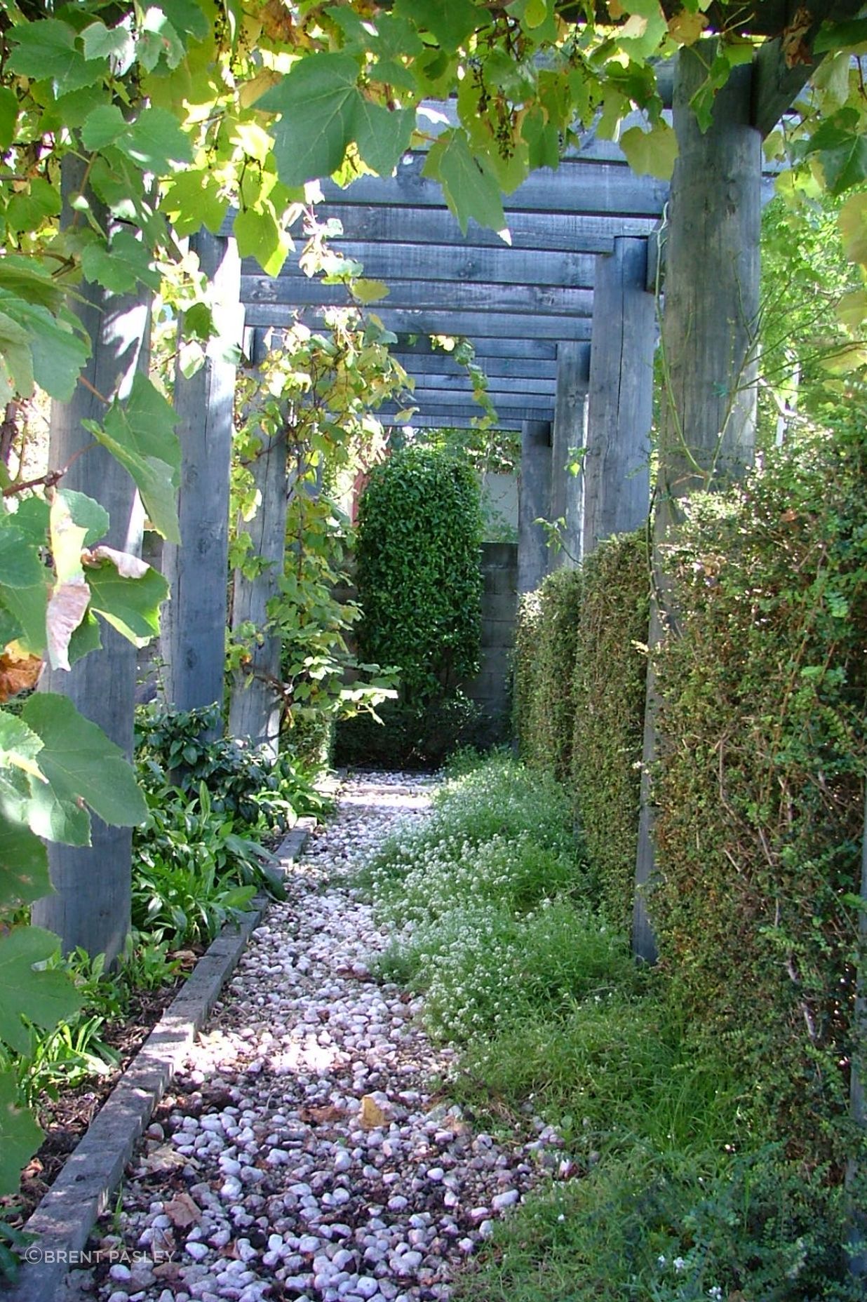 Parnell, Auckland