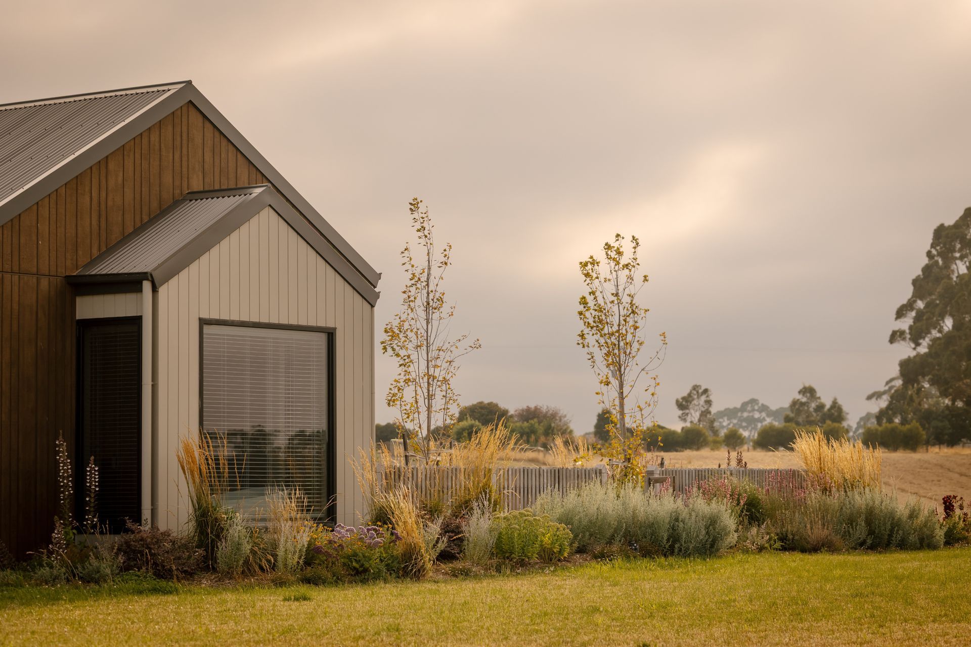 AshCreswick-Proofs-68-ap-compressed.jpg