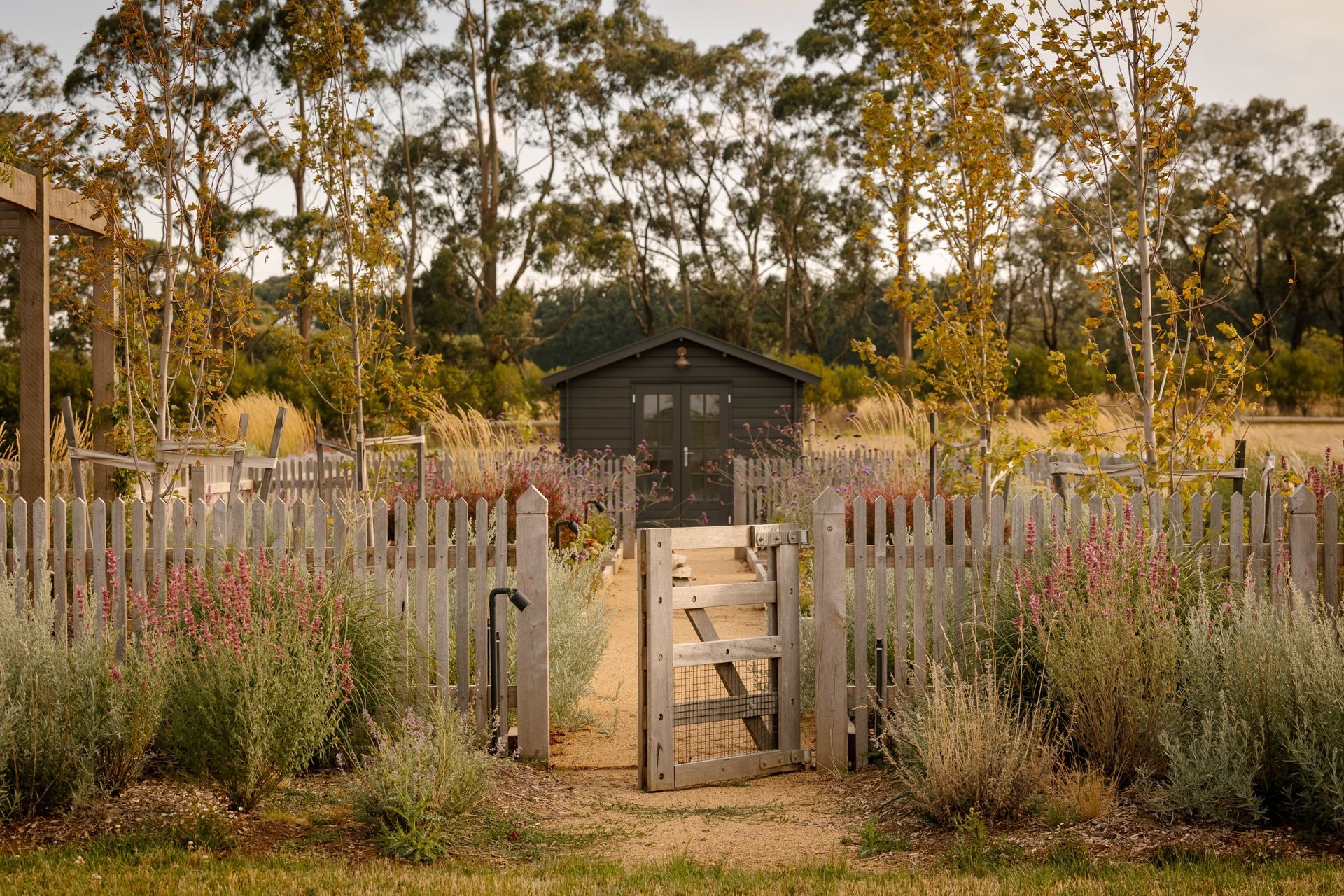 AshCreswick-Proofs-81-1-ap-compressed.jpg