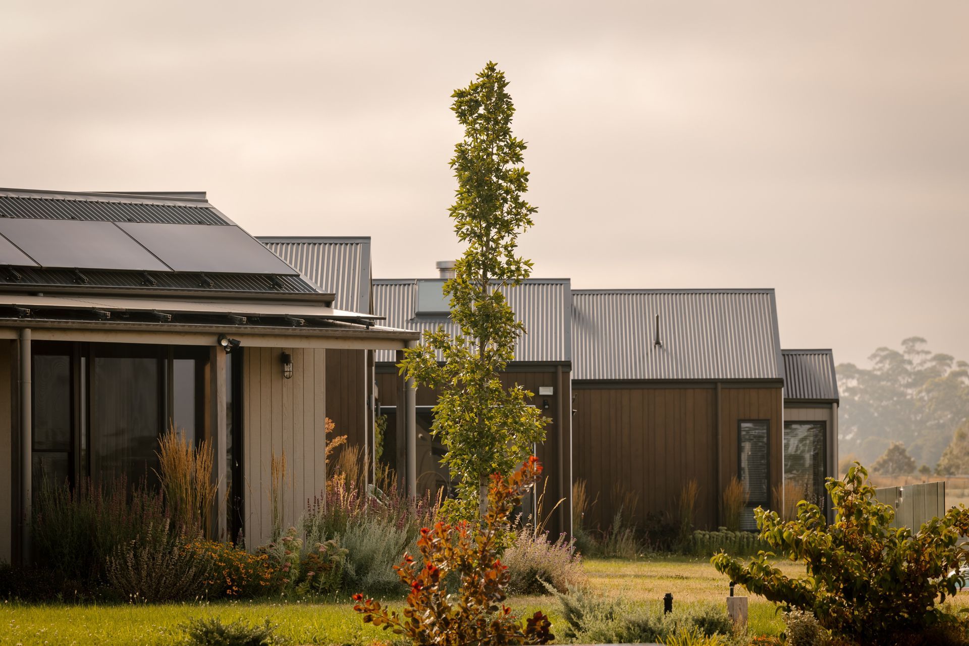 AshCreswick-Proofs-93-ap-compressed.jpg