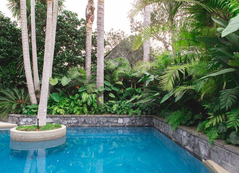 Modern Poolscape Takapuna