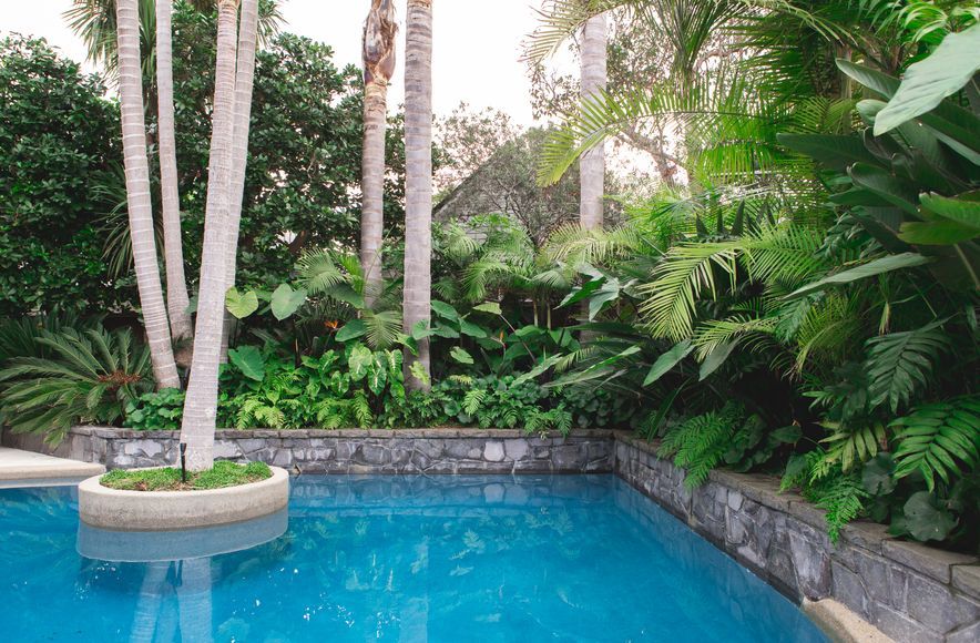 Modern Poolscape Takapuna