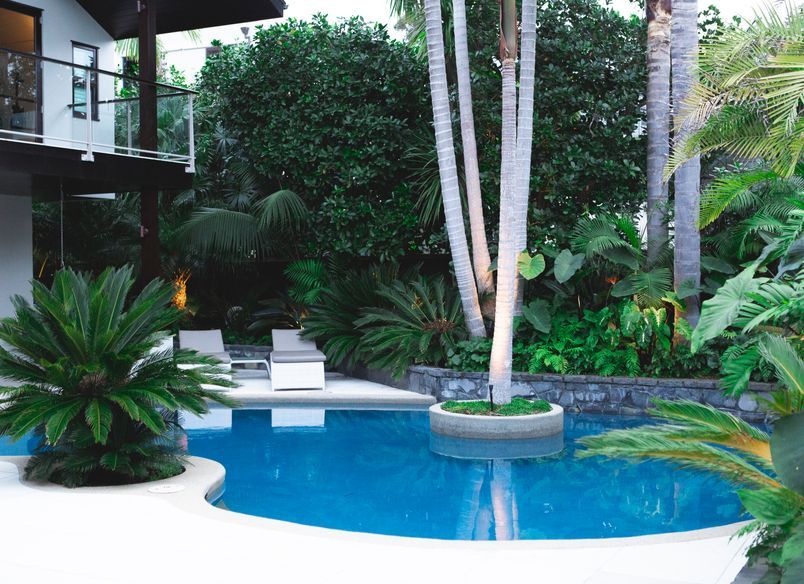 Modern Poolscape Takapuna